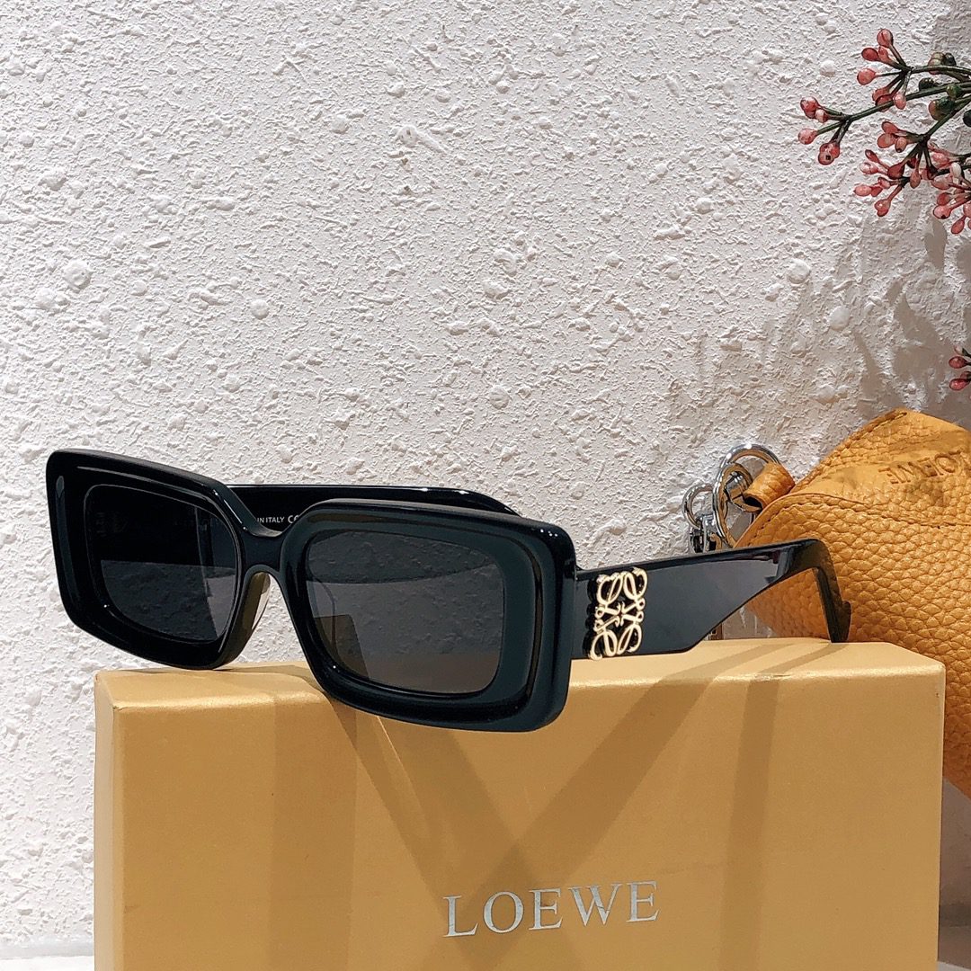 LOEWE SUNGLASSES