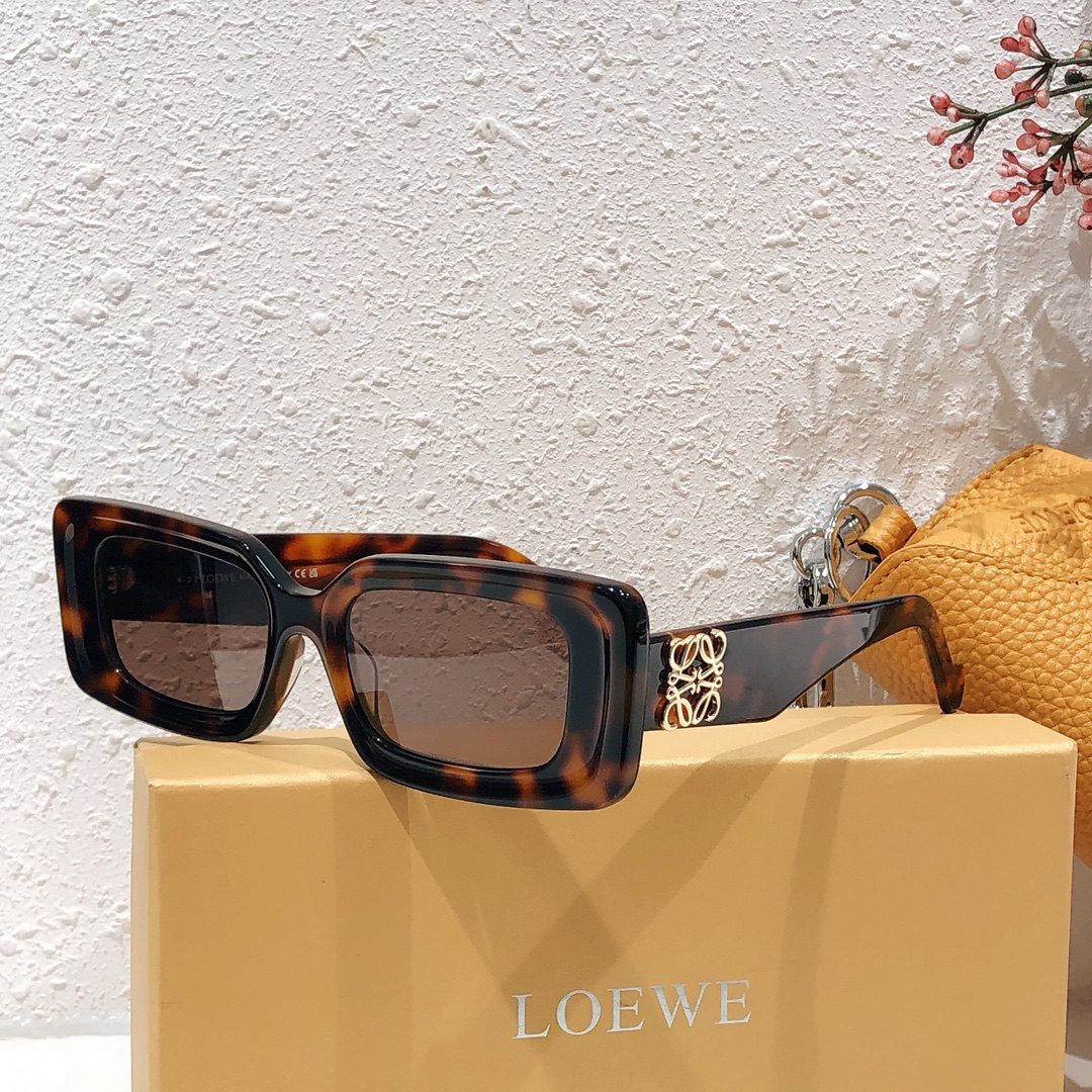 LOEWE SUNGLASSES
