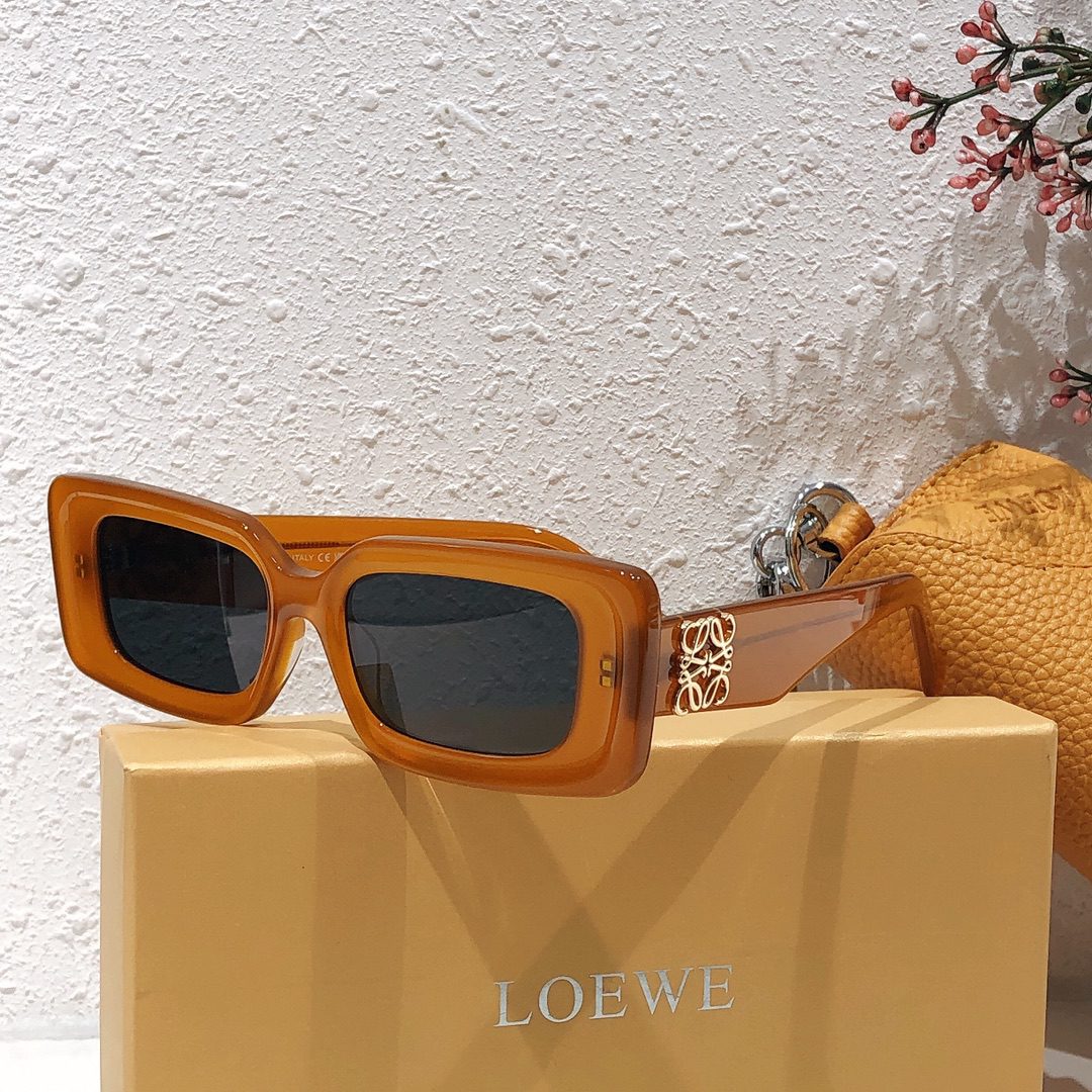 LOEWE SUNGLASSES