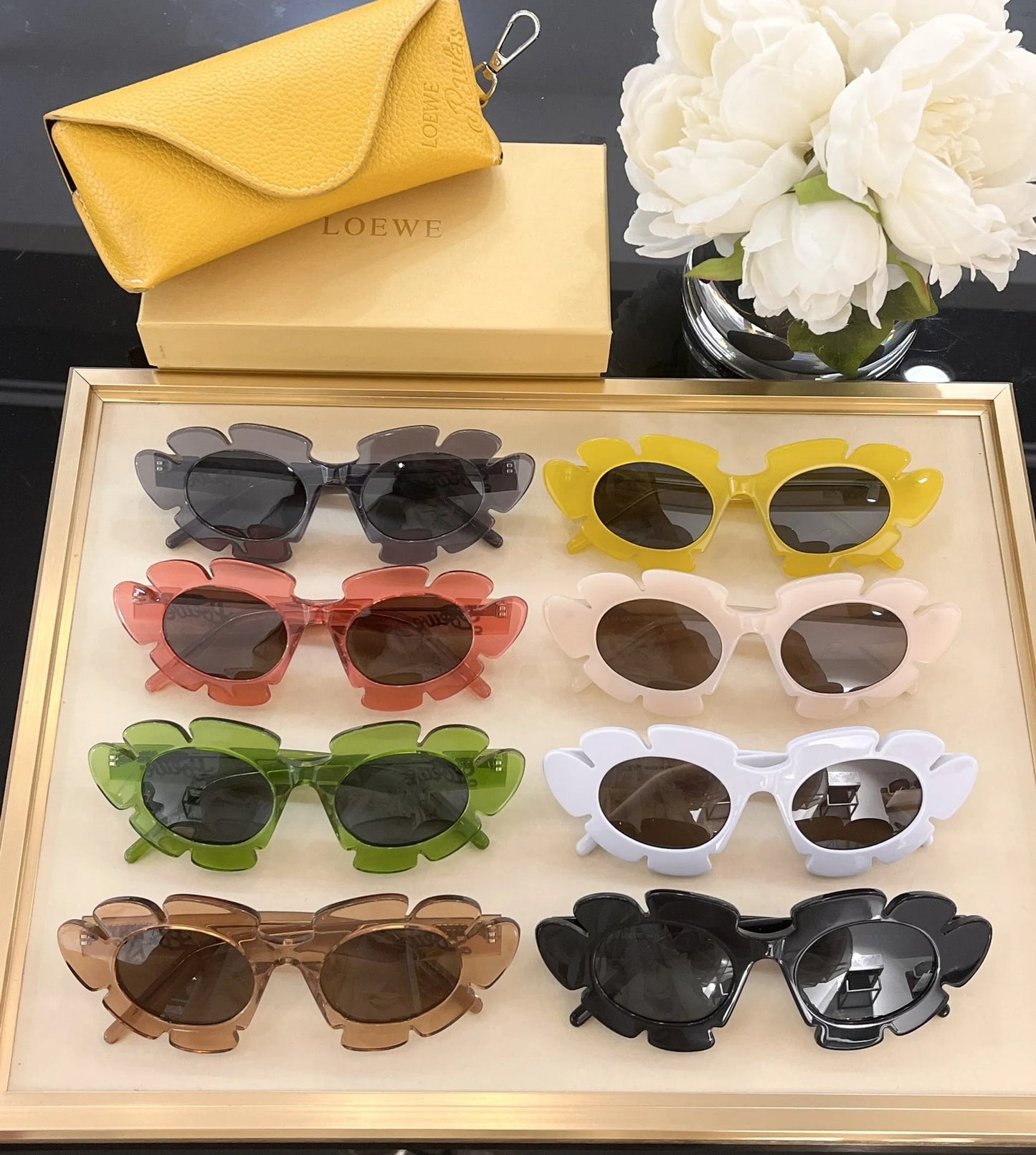 LOEWE SUNGLASSES