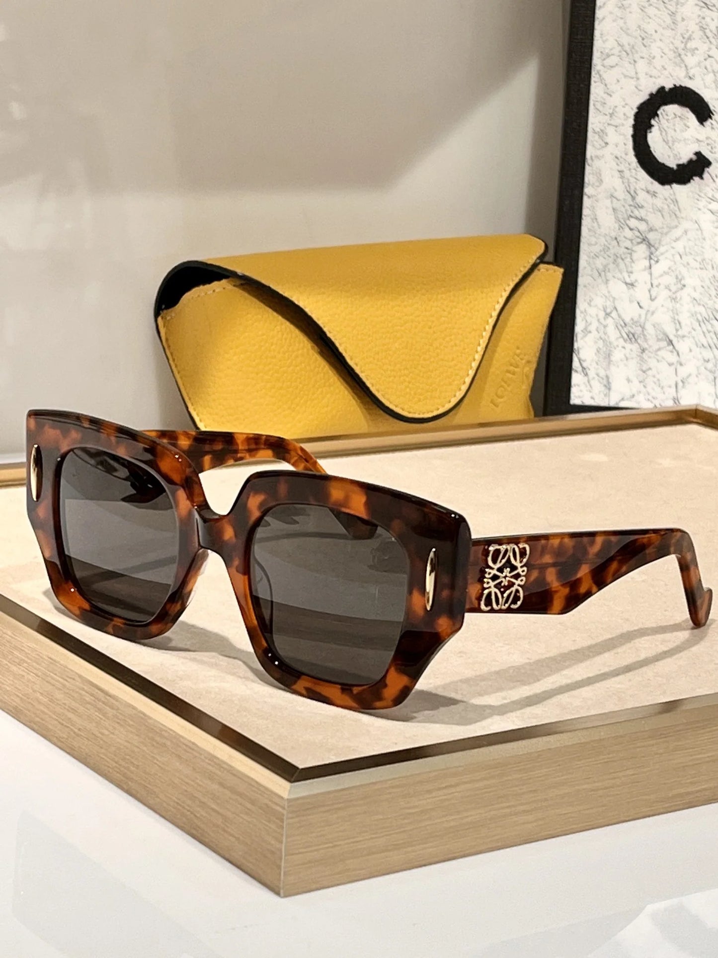 LOEWE SUNGLASSES