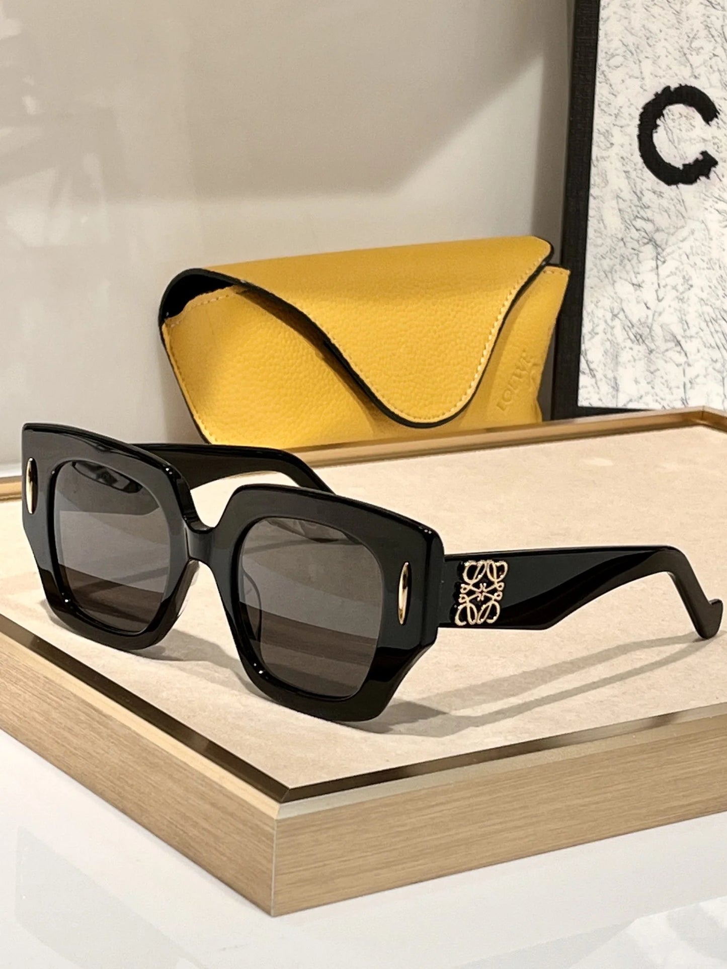LOEWE SUNGLASSES