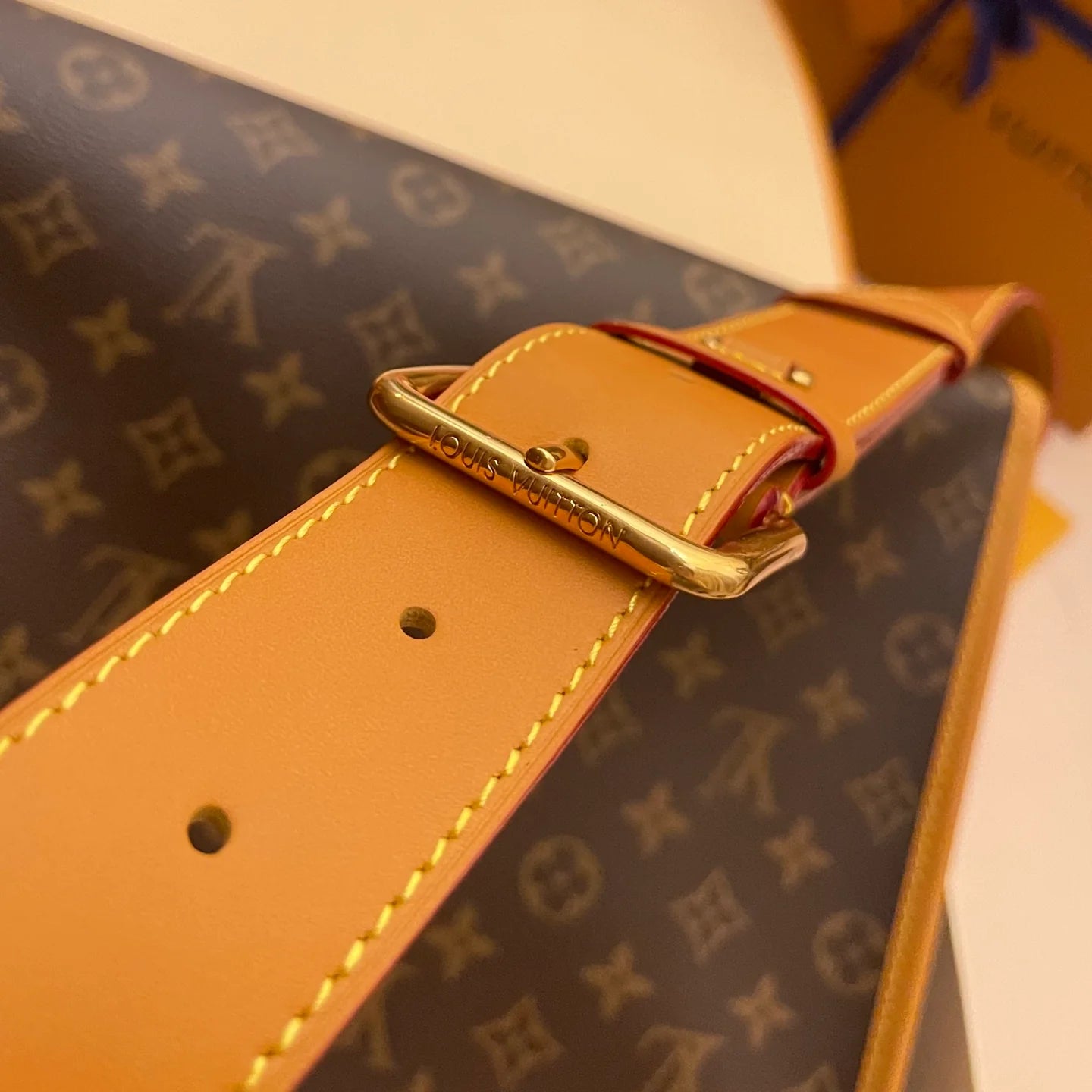 LV BAG M