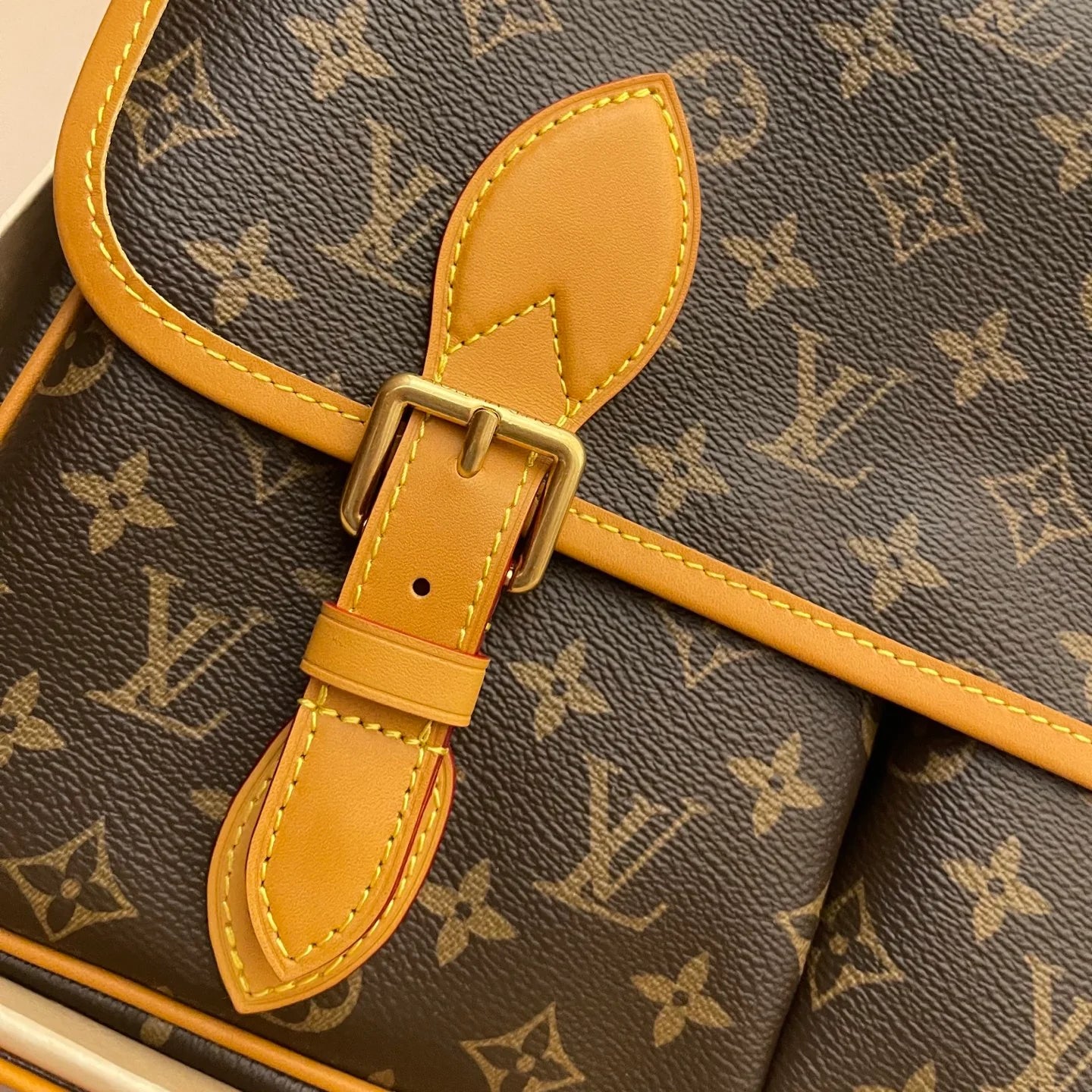 LV BAG M