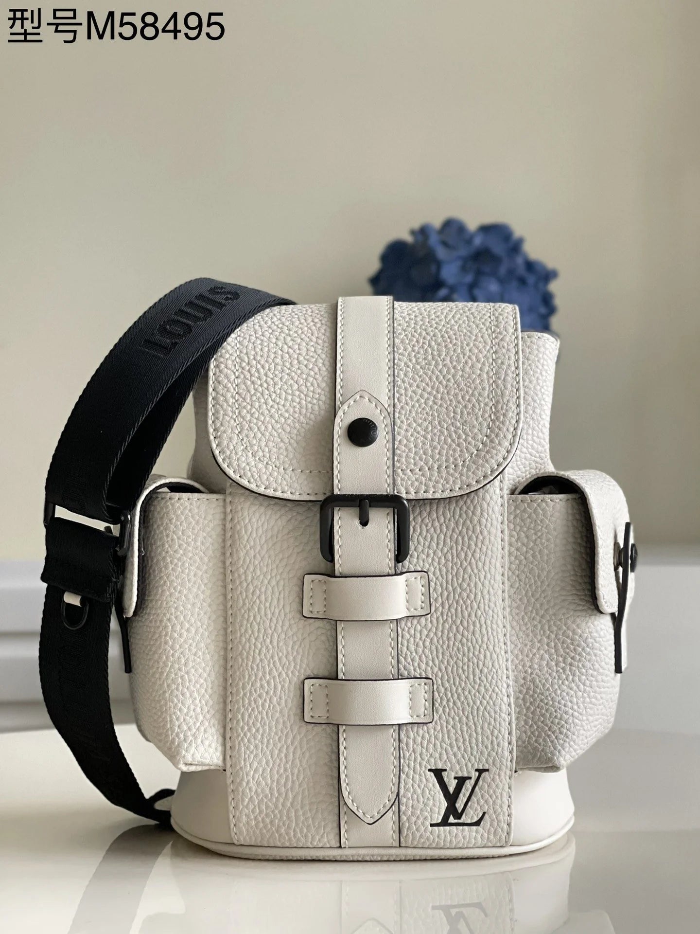 LV BAG M58495