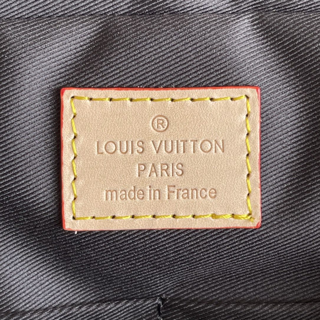 LV BAG N50068