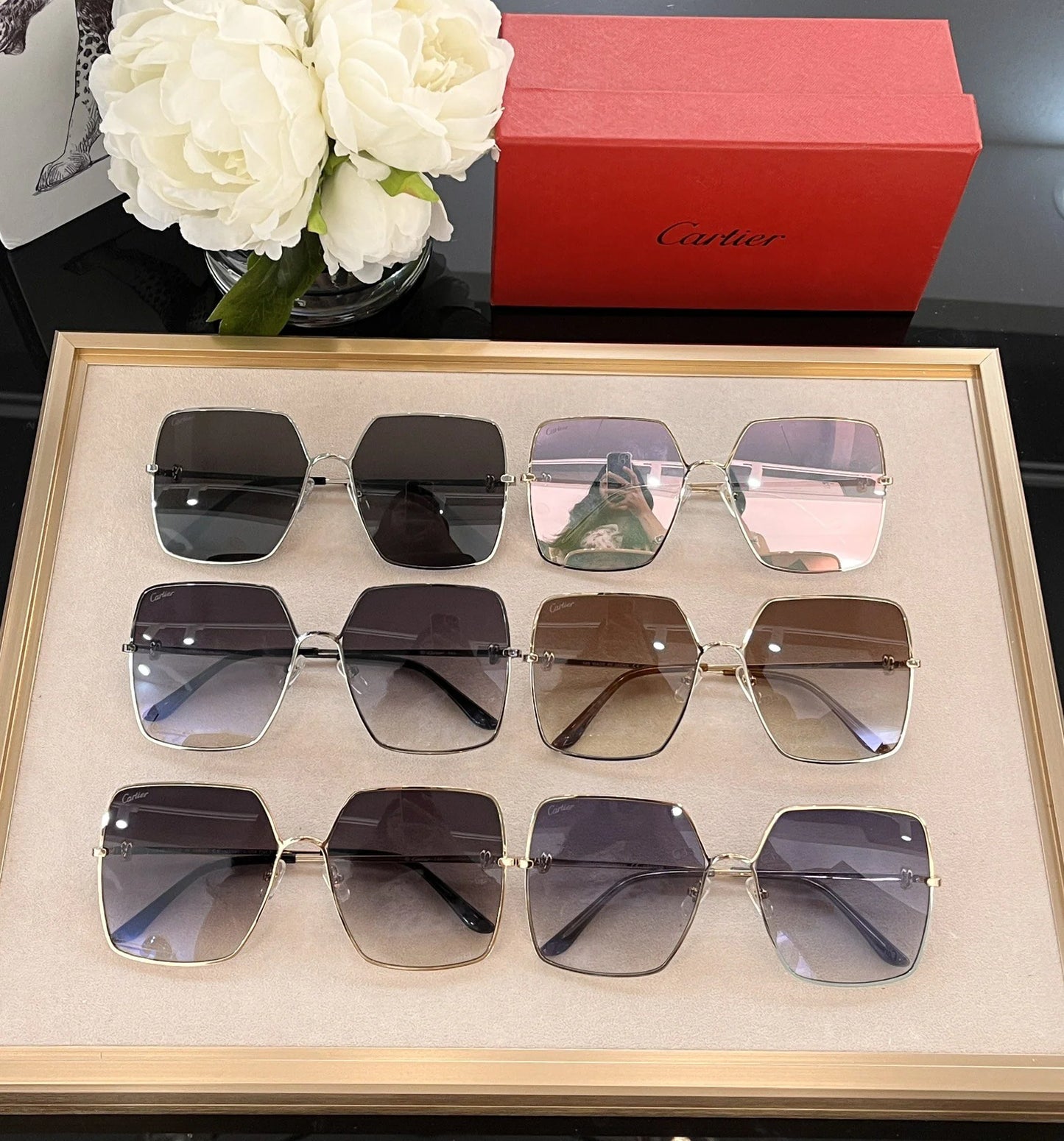 CARTIER SUNGLASSES