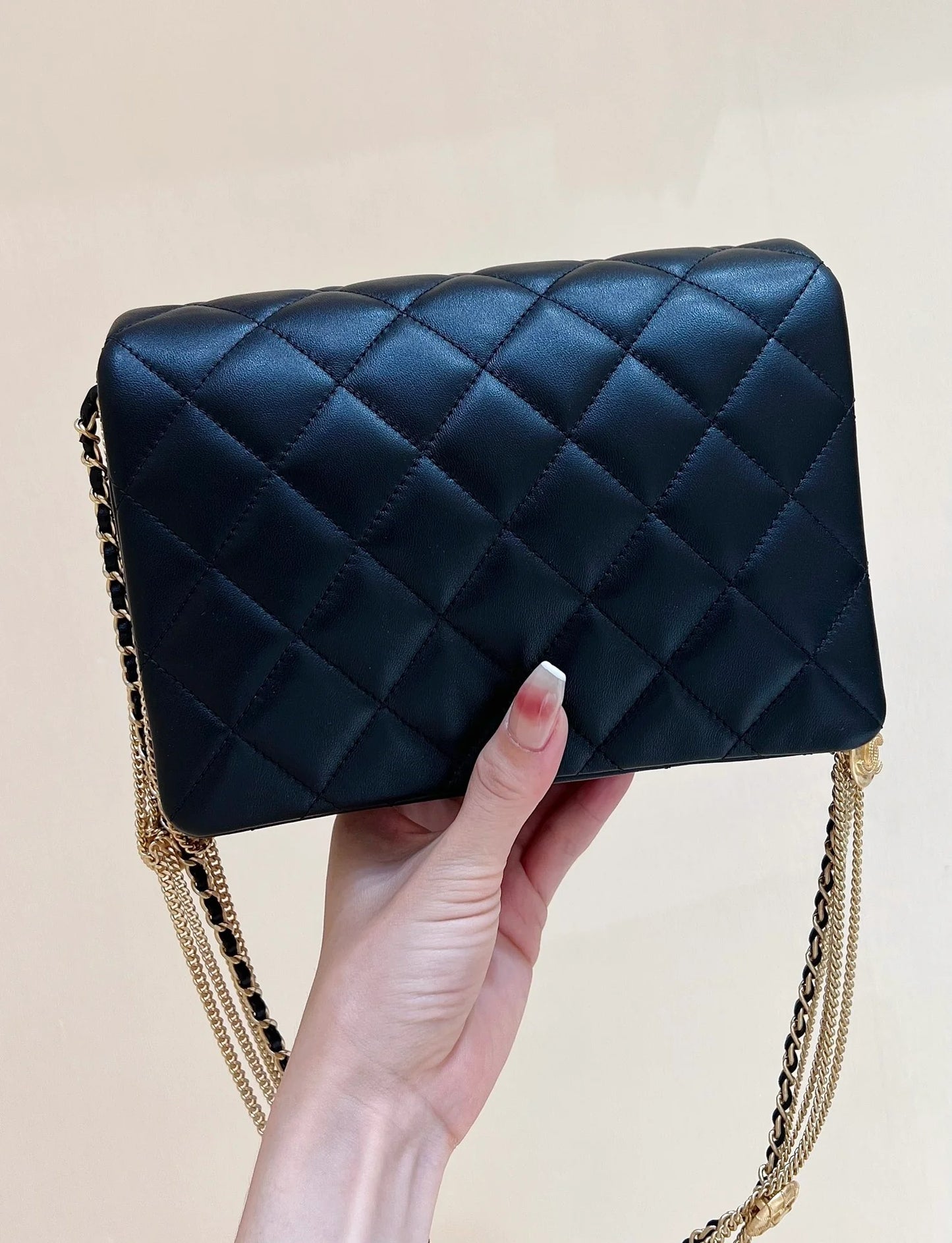CHANEL BAG
