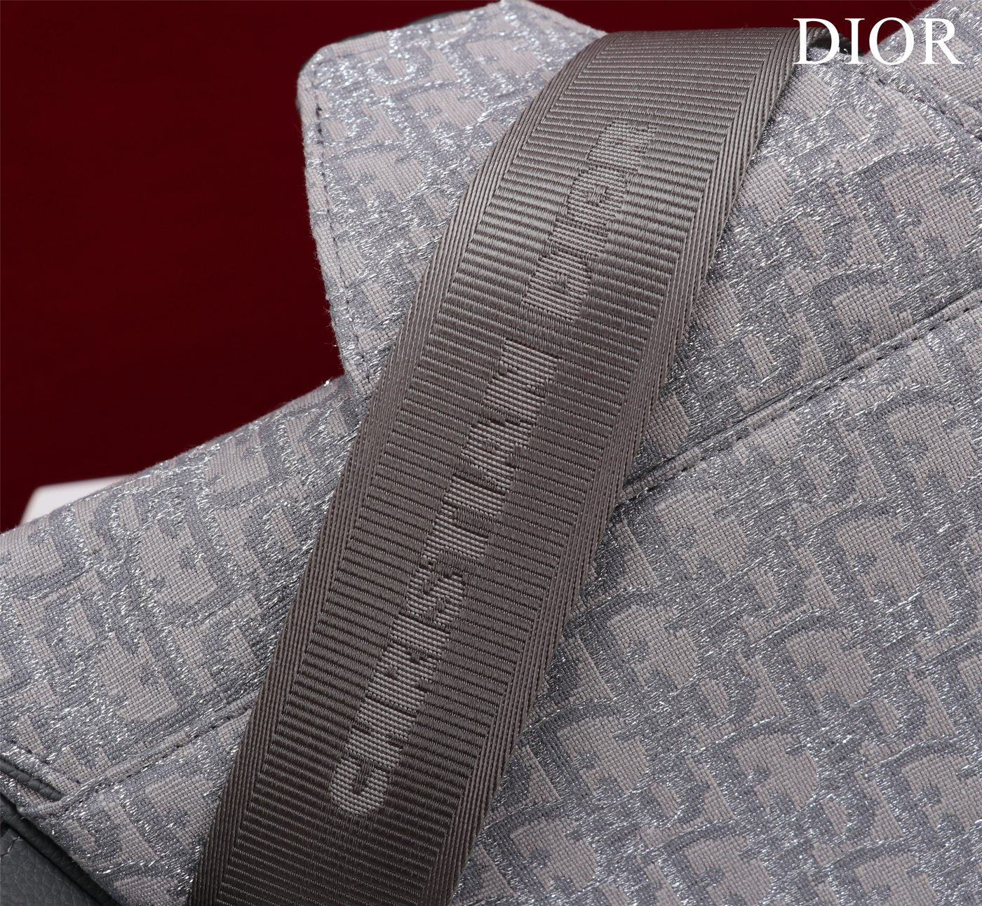 DIOR BAG