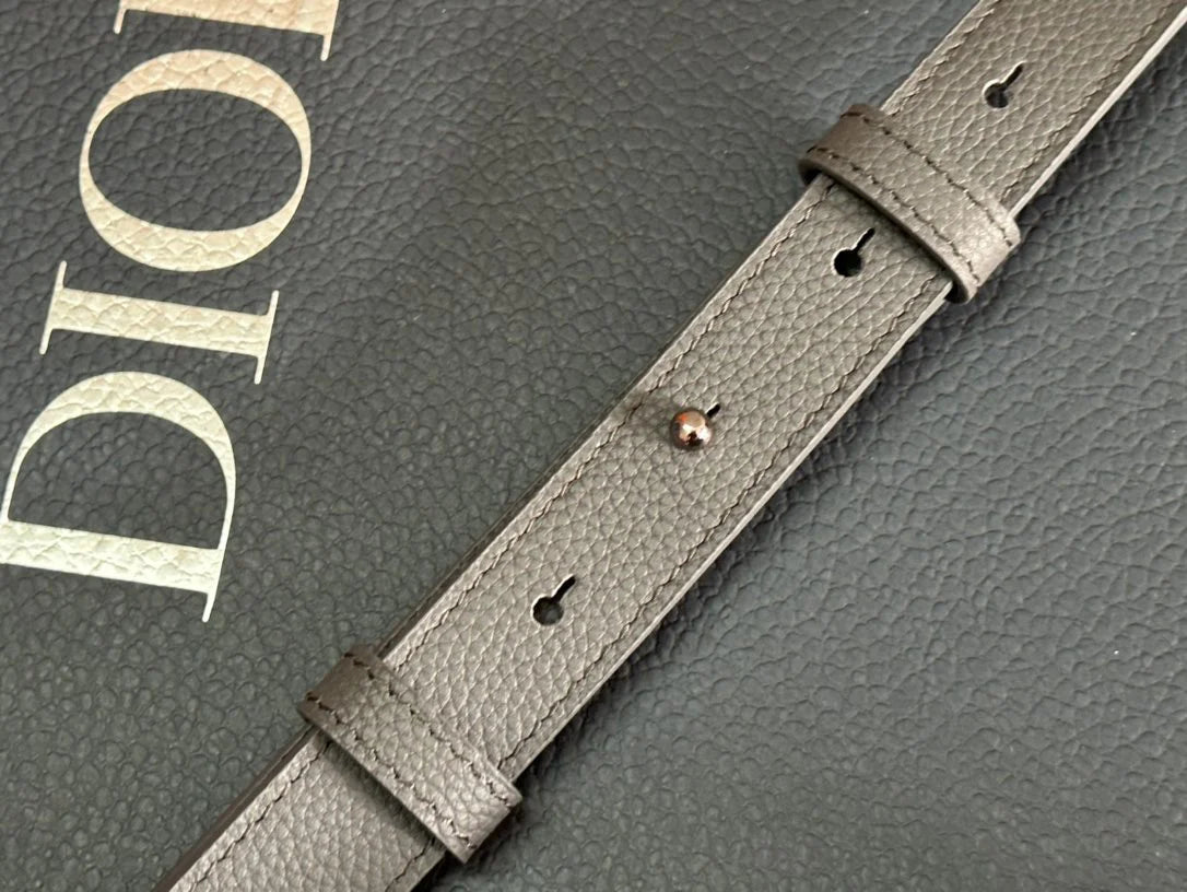 DIOR BAG