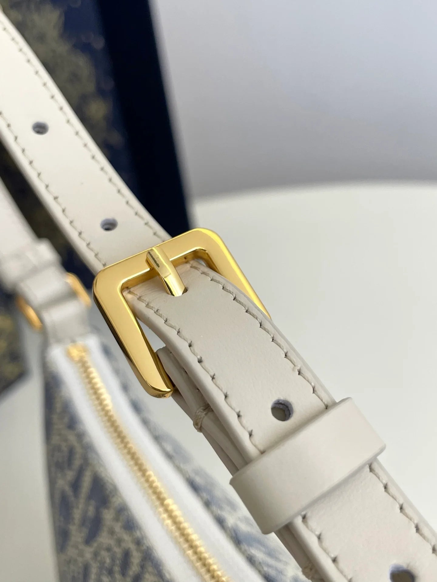 DIOR BAG