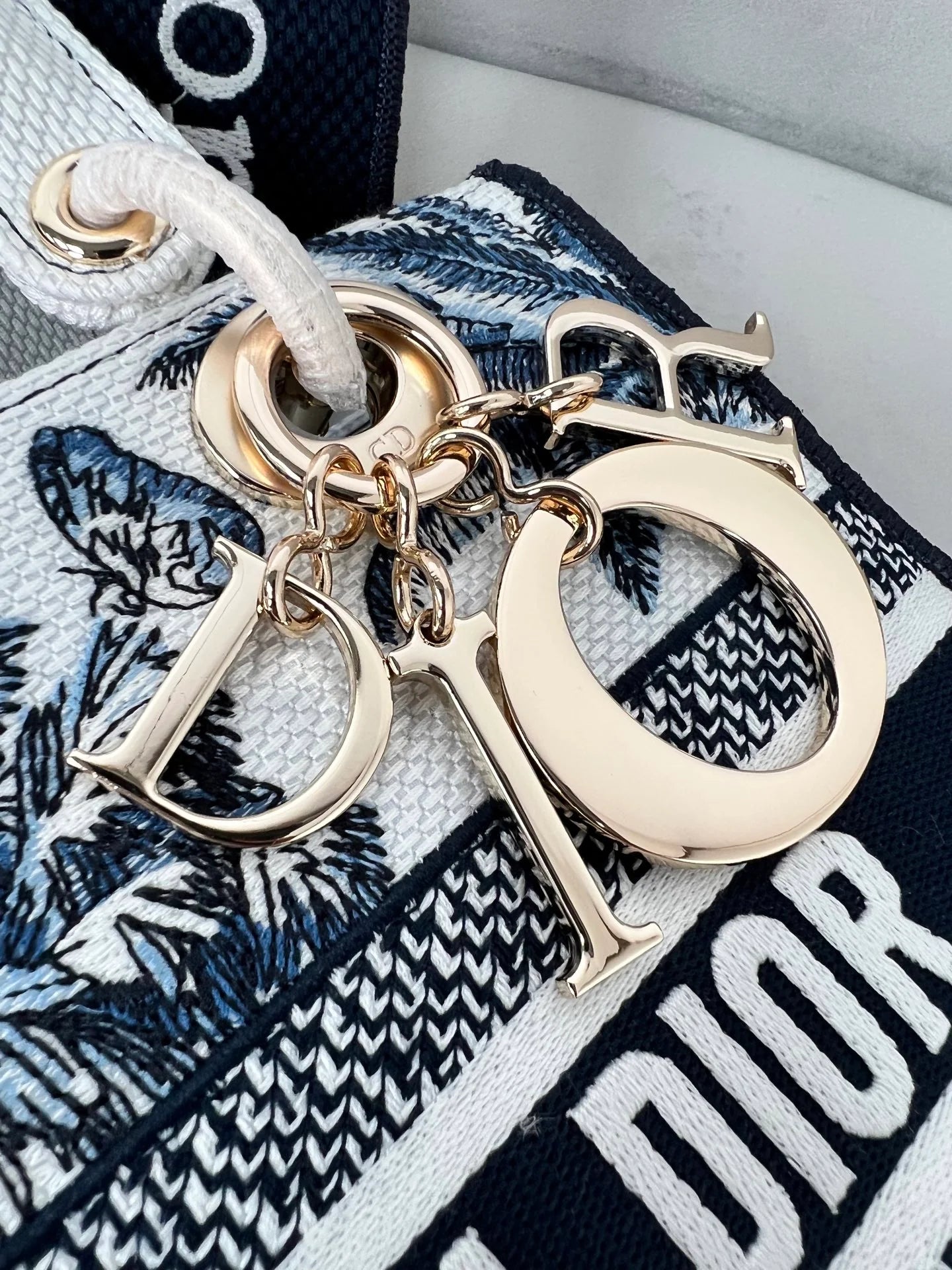 DIOR BAG