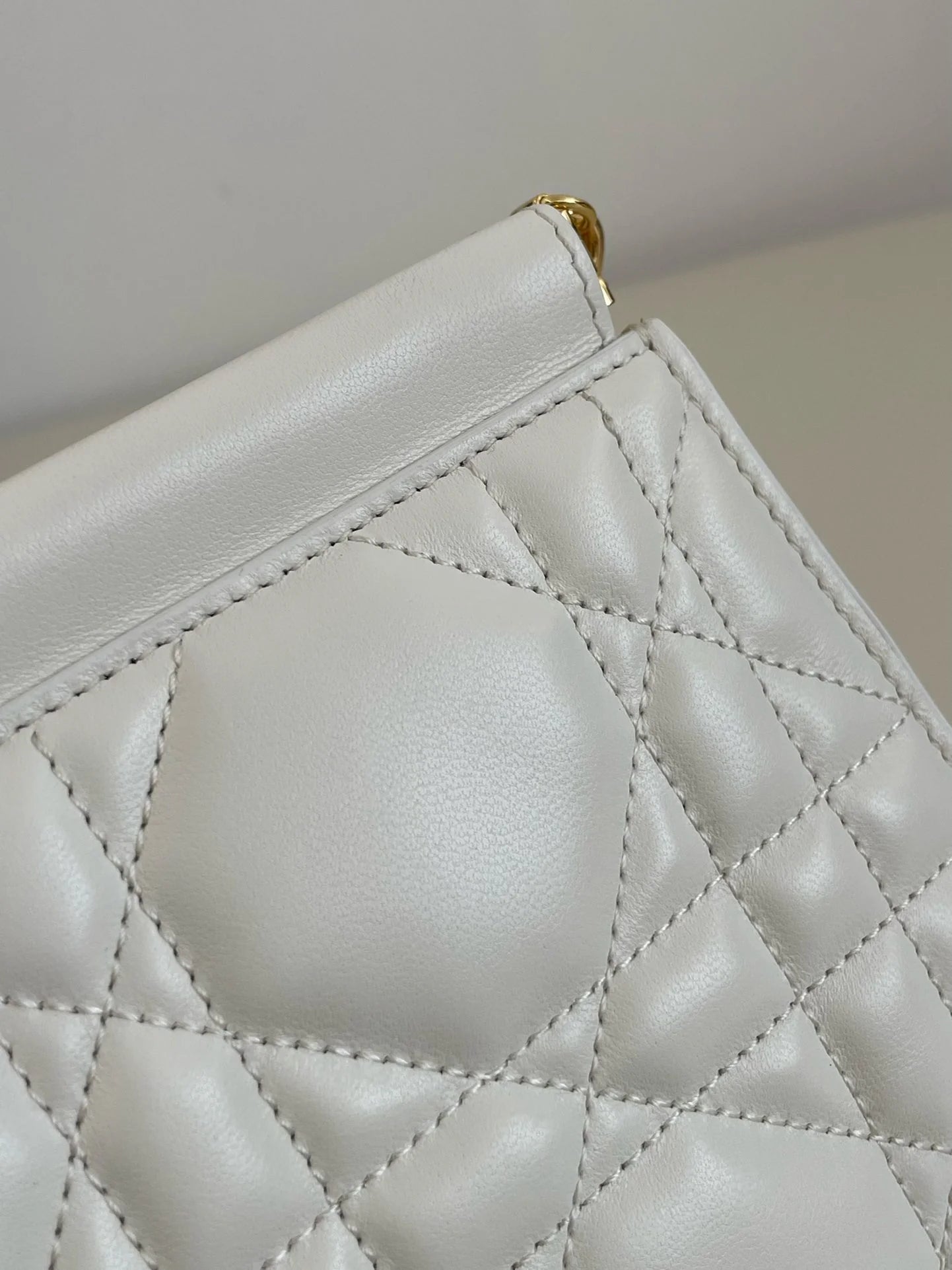 DIOR CARO BAG