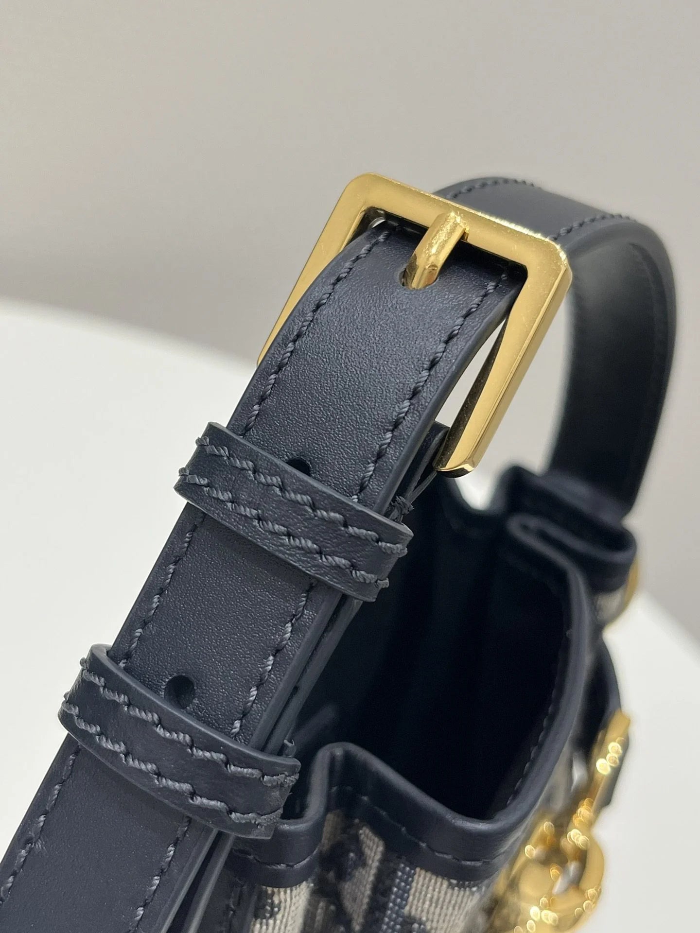 DIOR CEST BAG