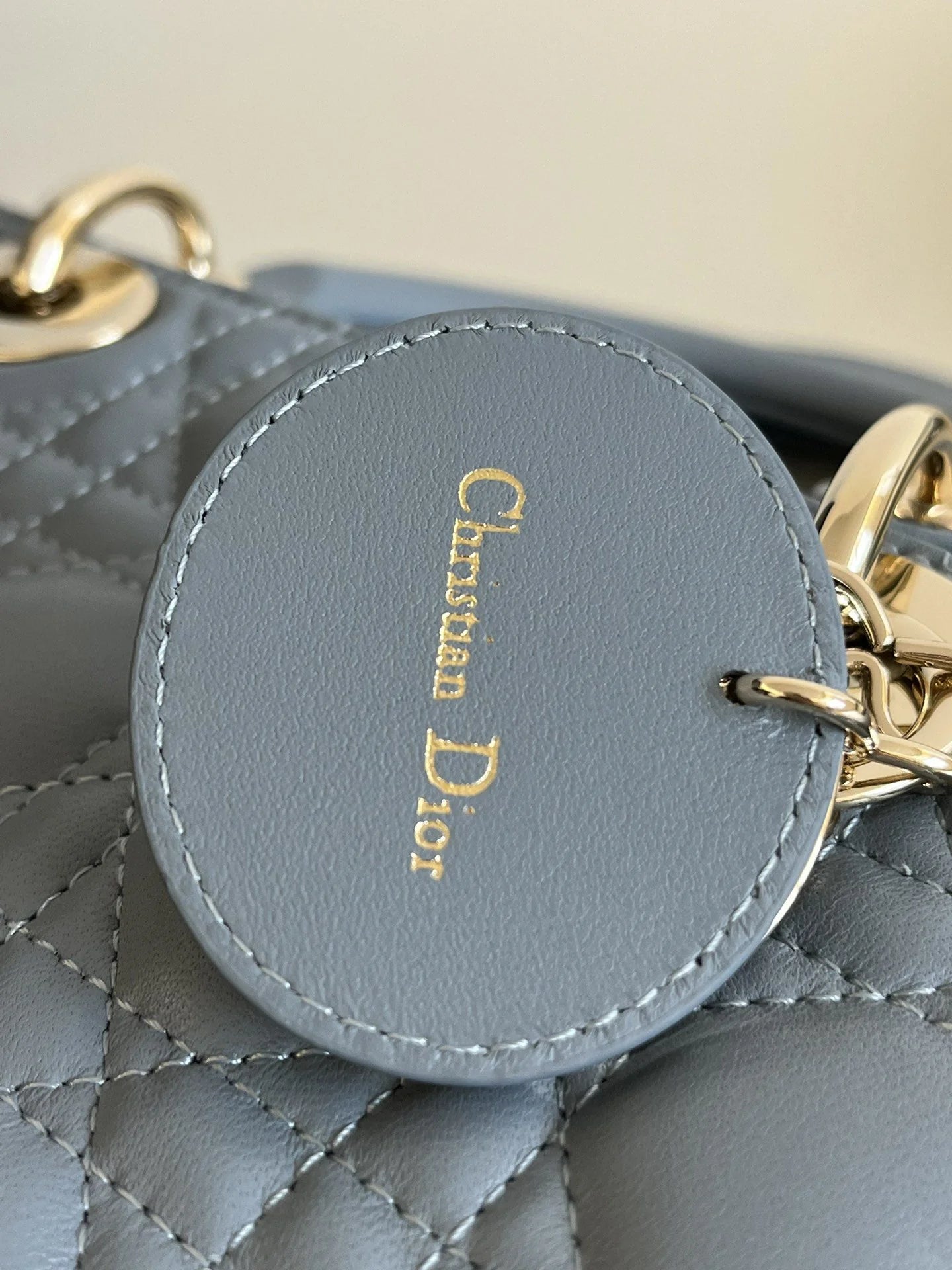 DIOR D JOY BAG