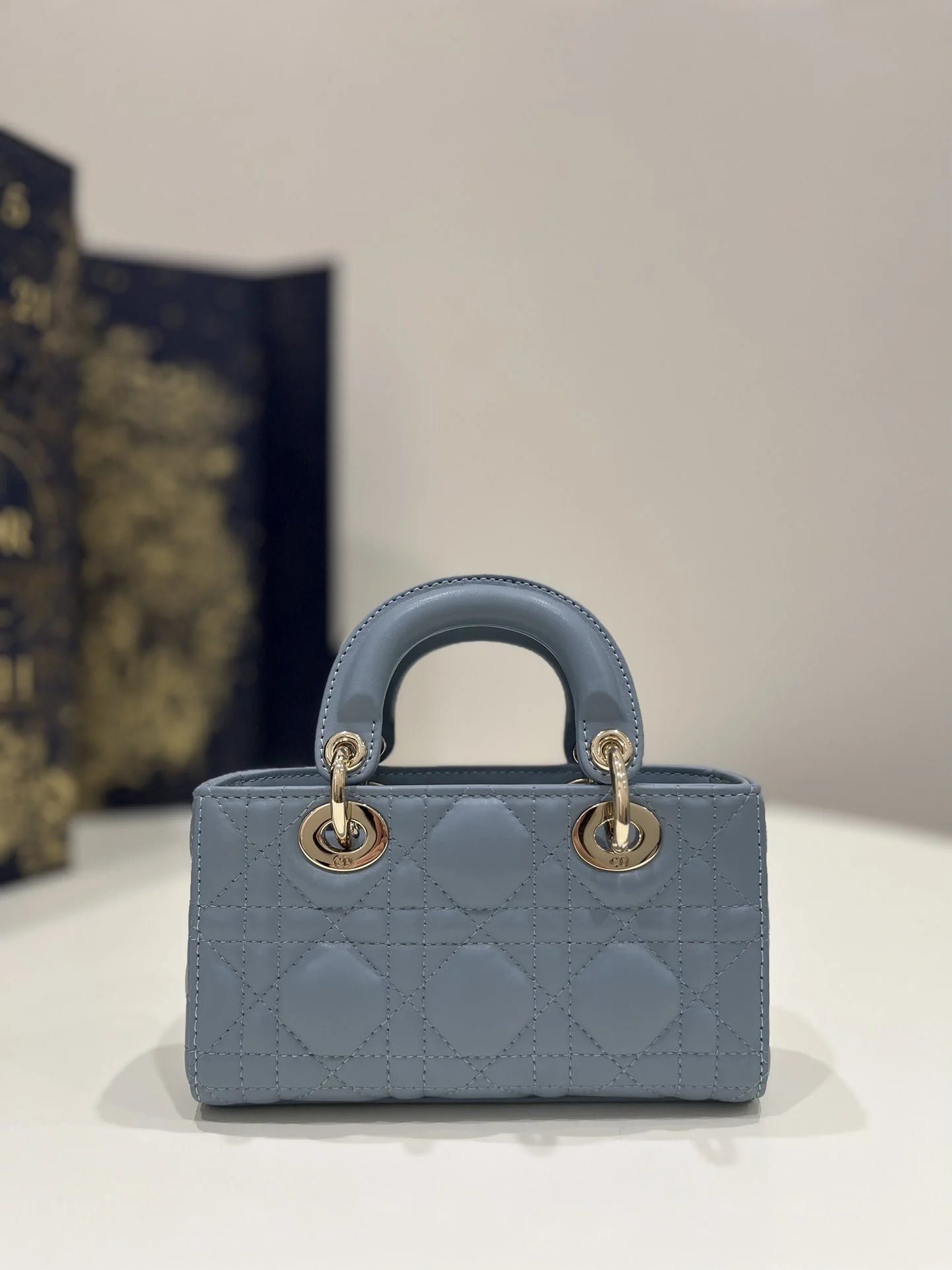 DIOR D JOY BAG
