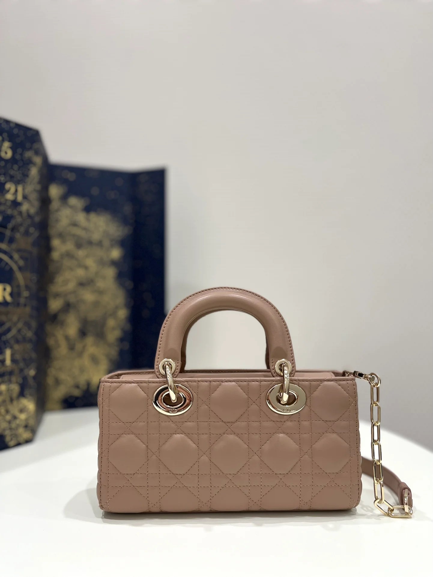 DIOR D JOY BAG