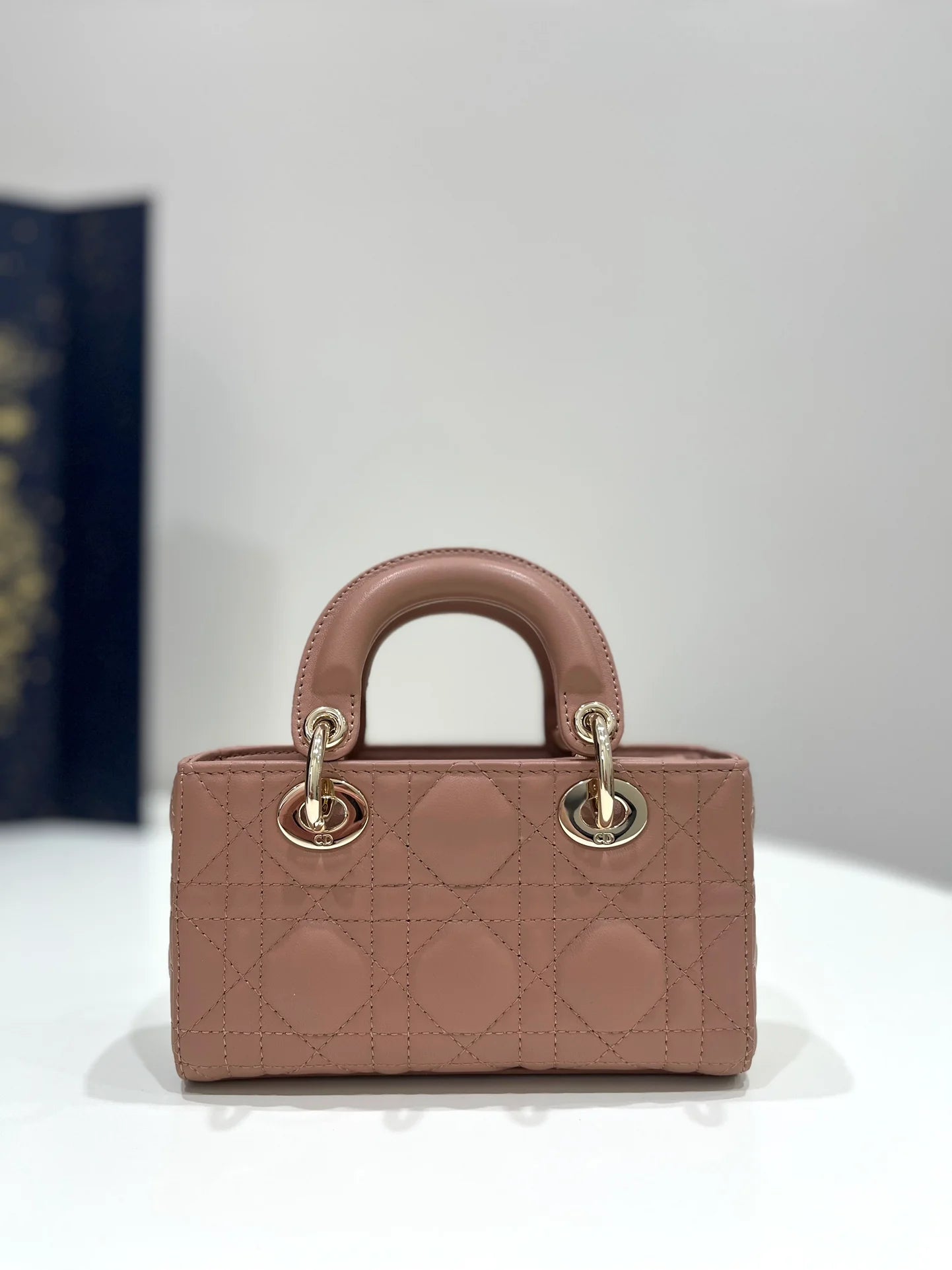 DIOR D JOY BAG
