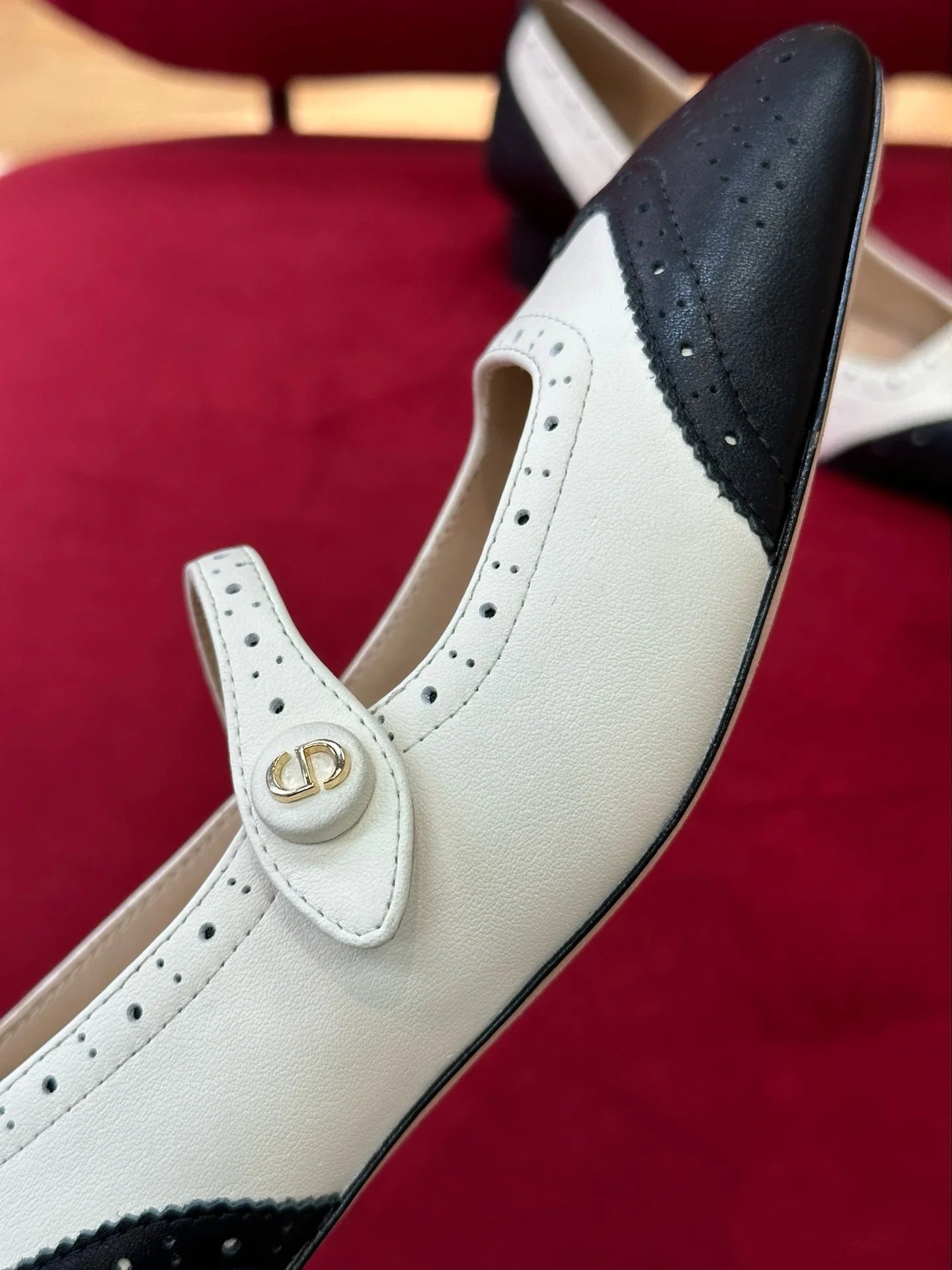 DIOR HEELS