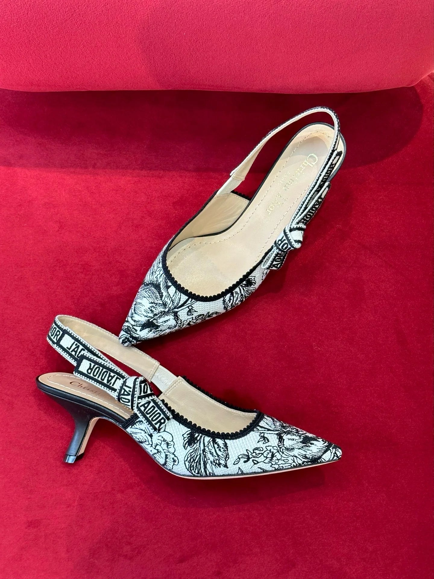 DIOR HEELS