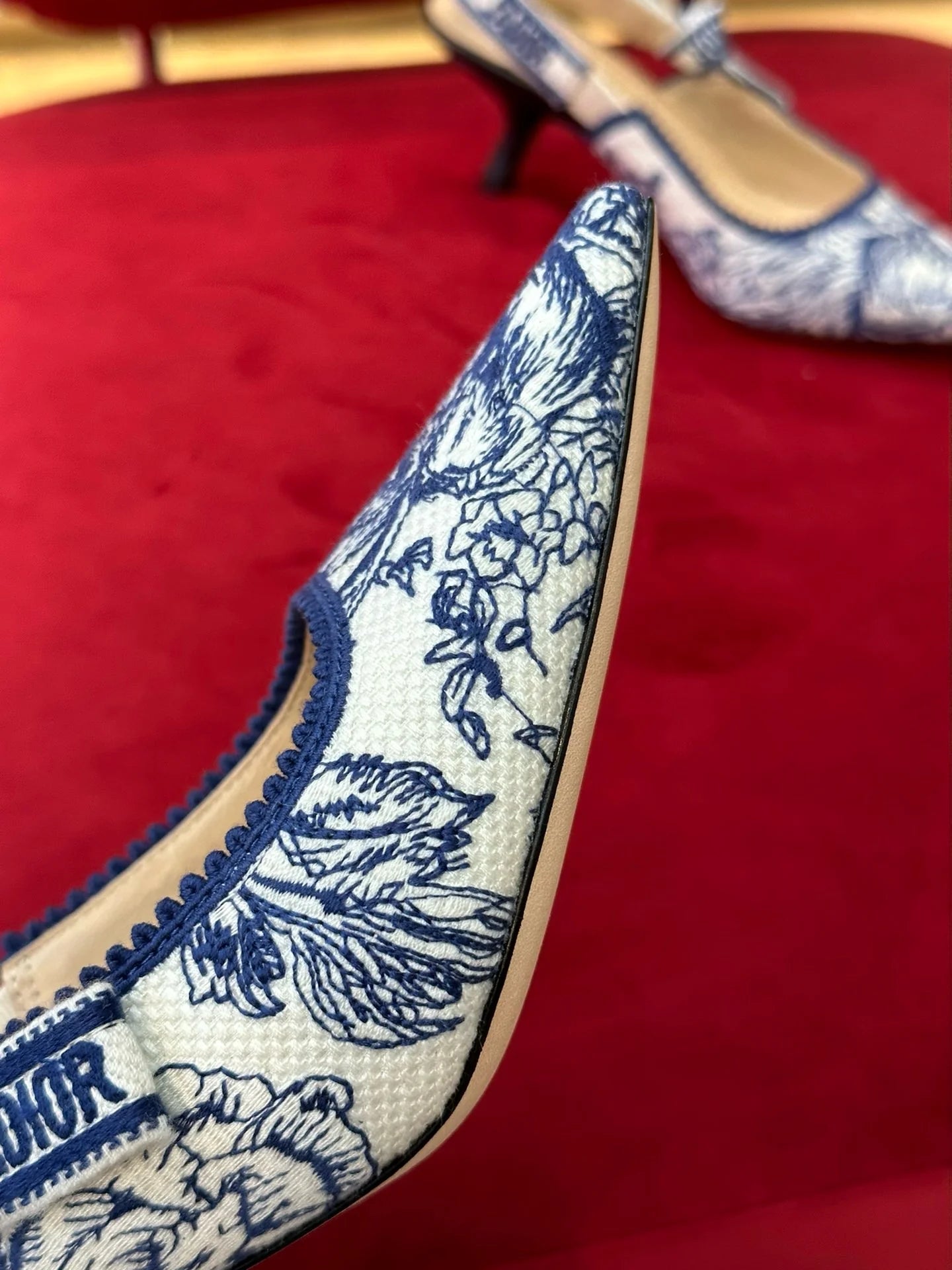 DIOR HEELS