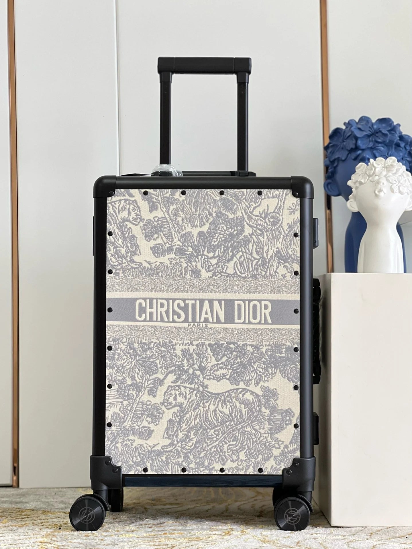 DIOR LUGGAGE