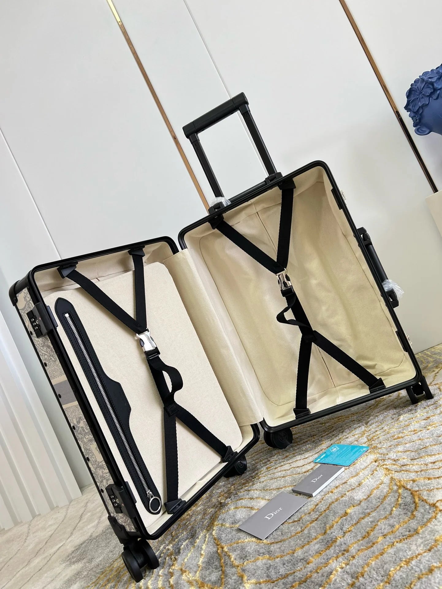 DIOR LUGGAGE