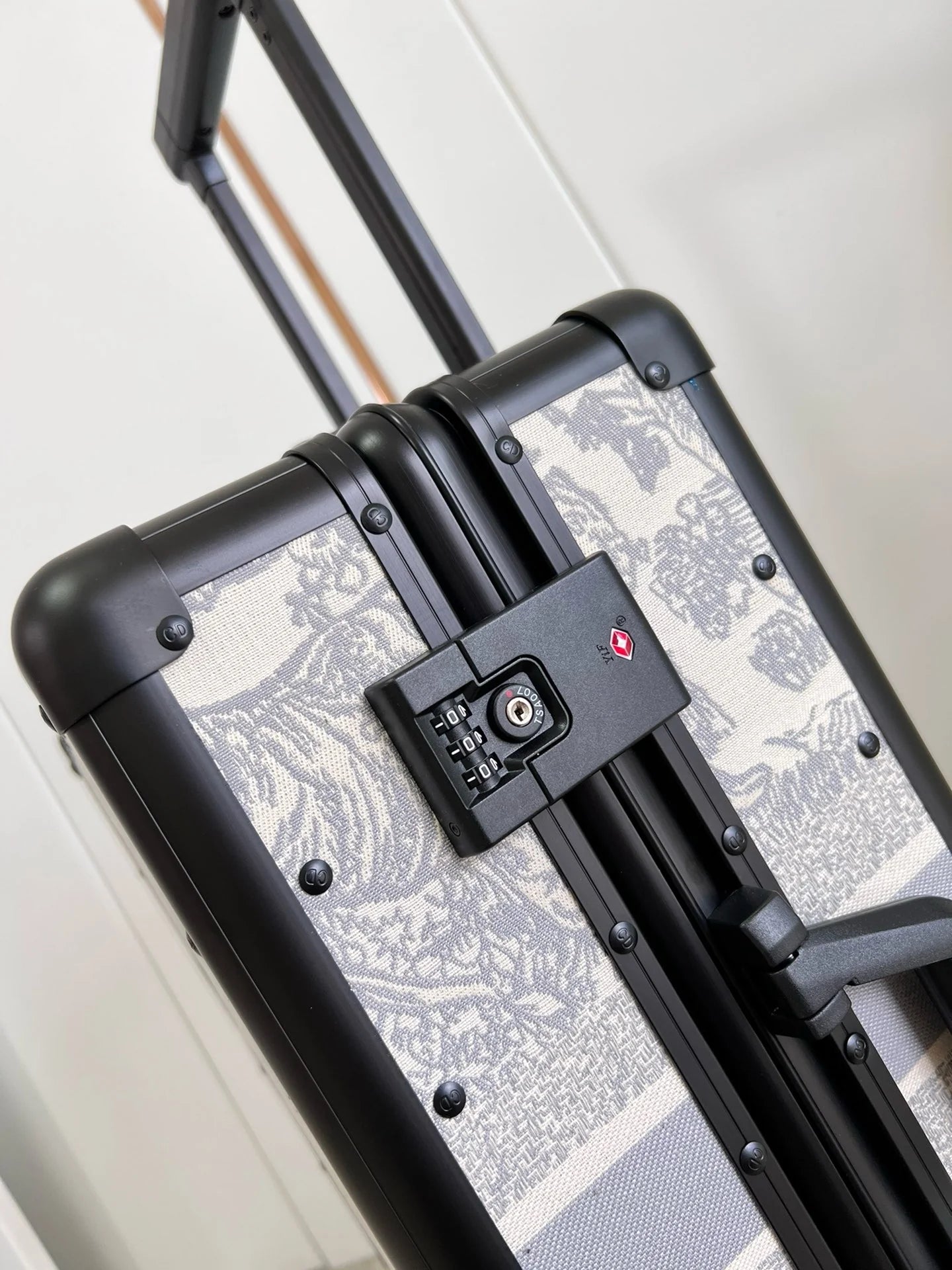 DIOR LUGGAGE