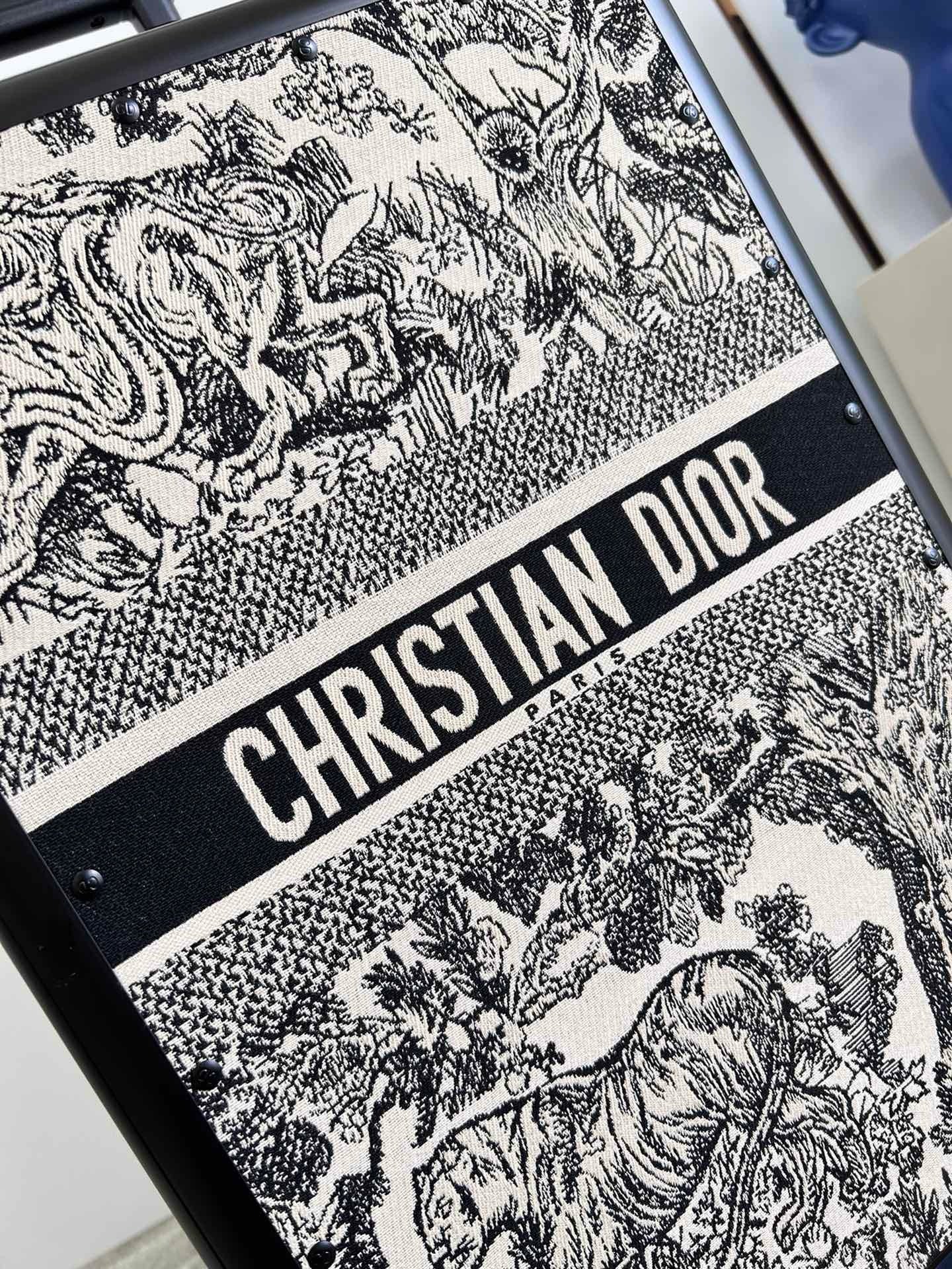 DIOR LUGGAGE