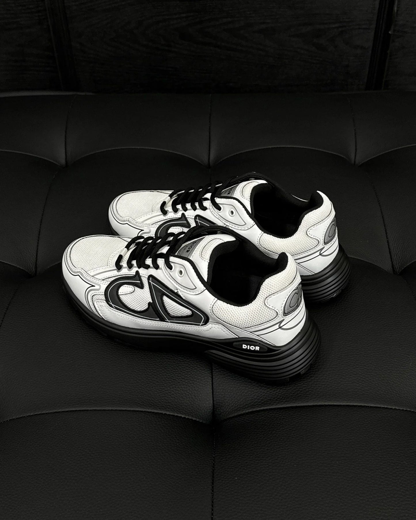 DIOR SNEAKER