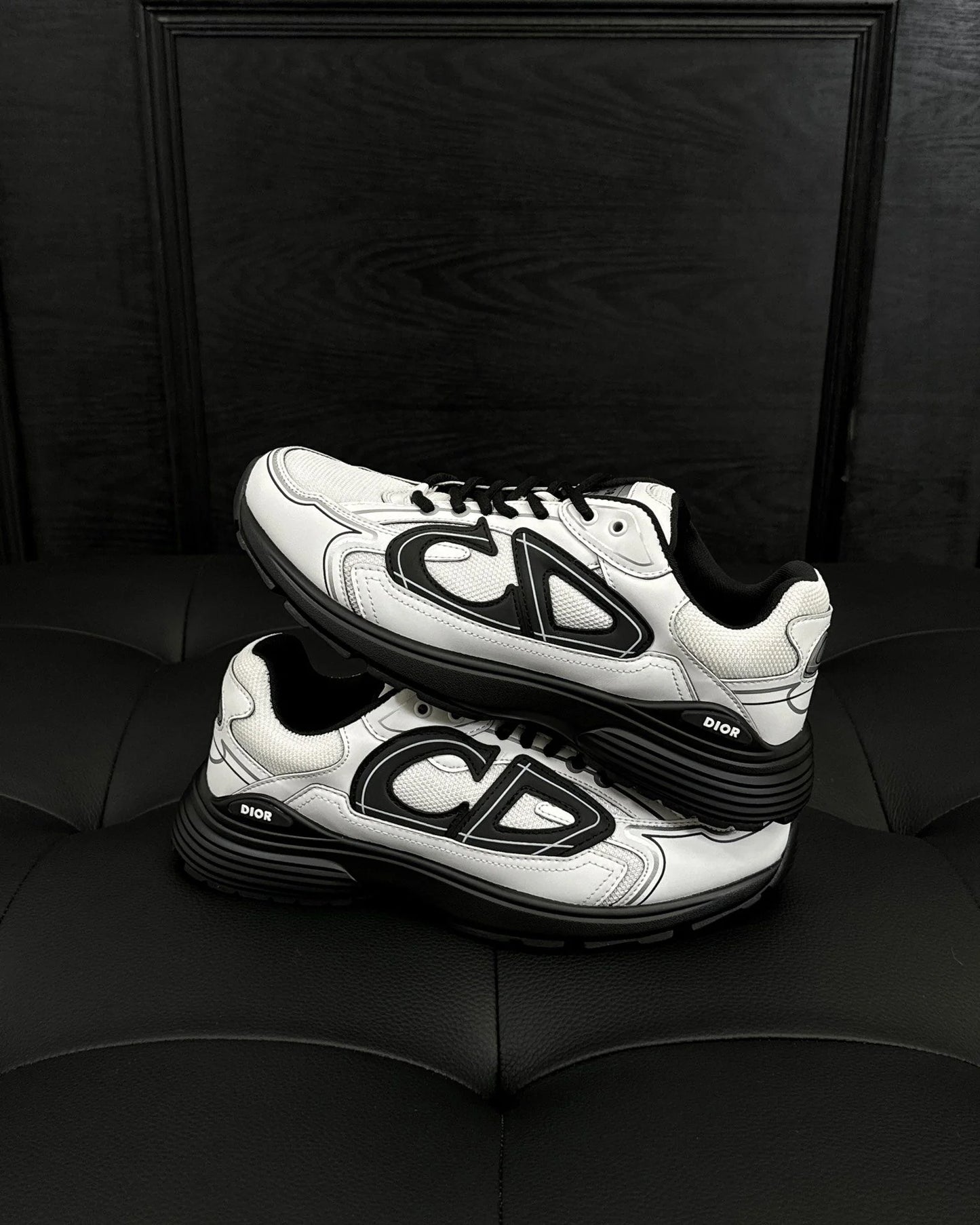 DIOR SNEAKER