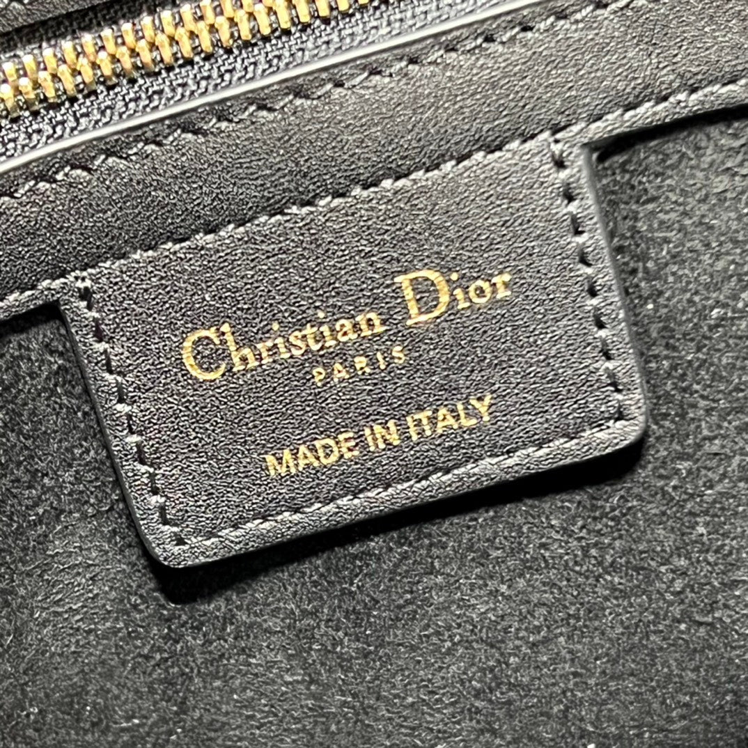 DIOR THE LADY 95 22 BAG