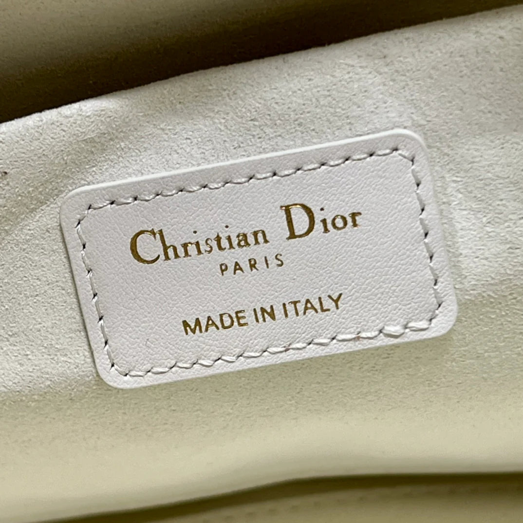 DIOR THE LADY 95 22 BAG