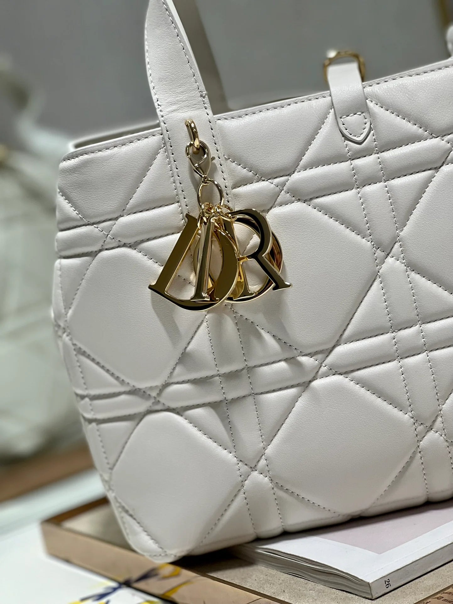 DIOR THE LADY 95 22 BAG