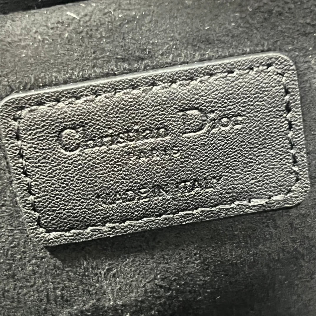 DIOR THE LADY 95 22 BAG