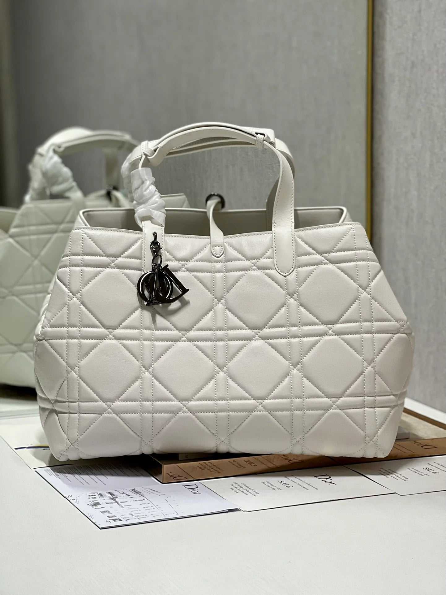 DIOR THE LADY 95 22 BAG