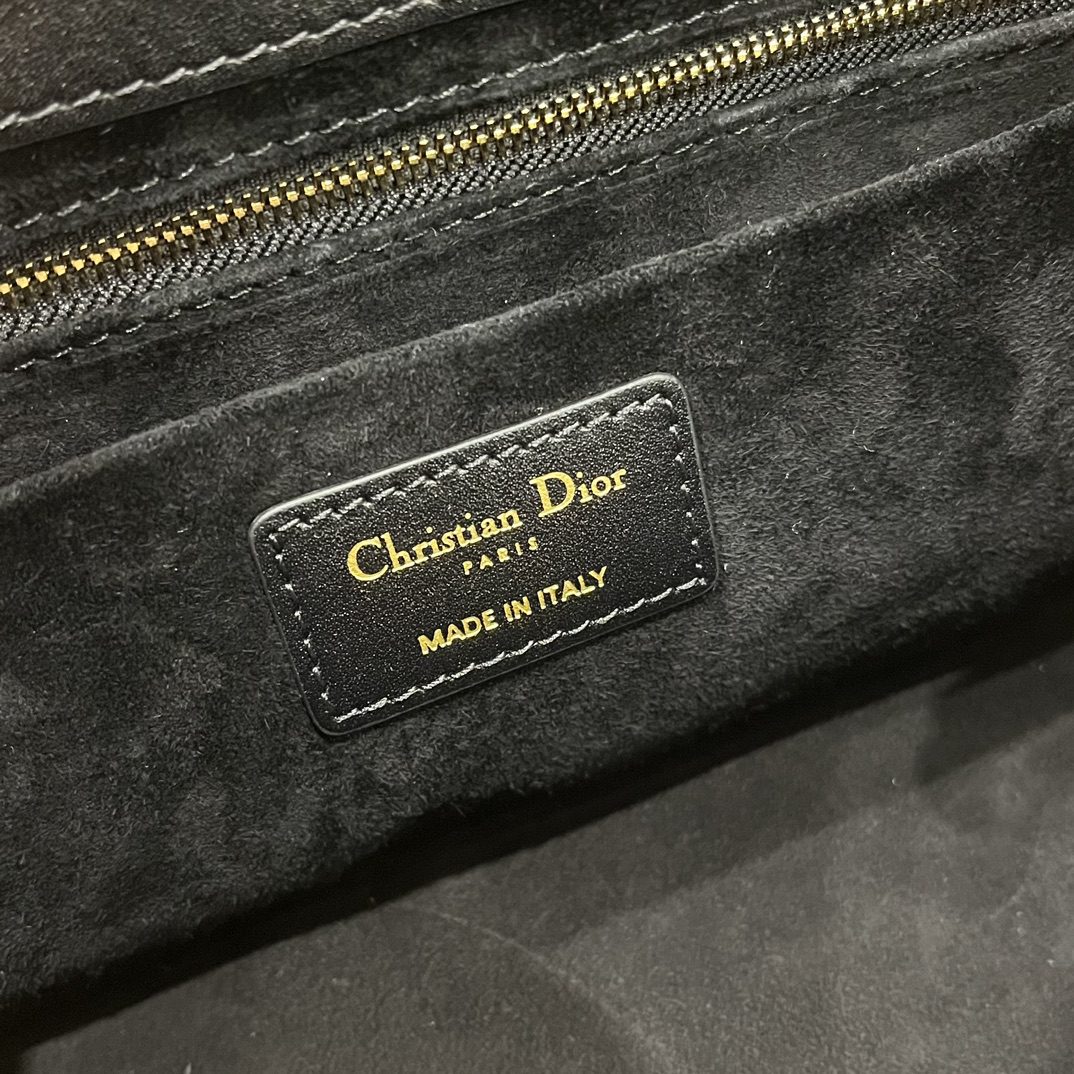 DIOR THE LADY 95 22 BAG