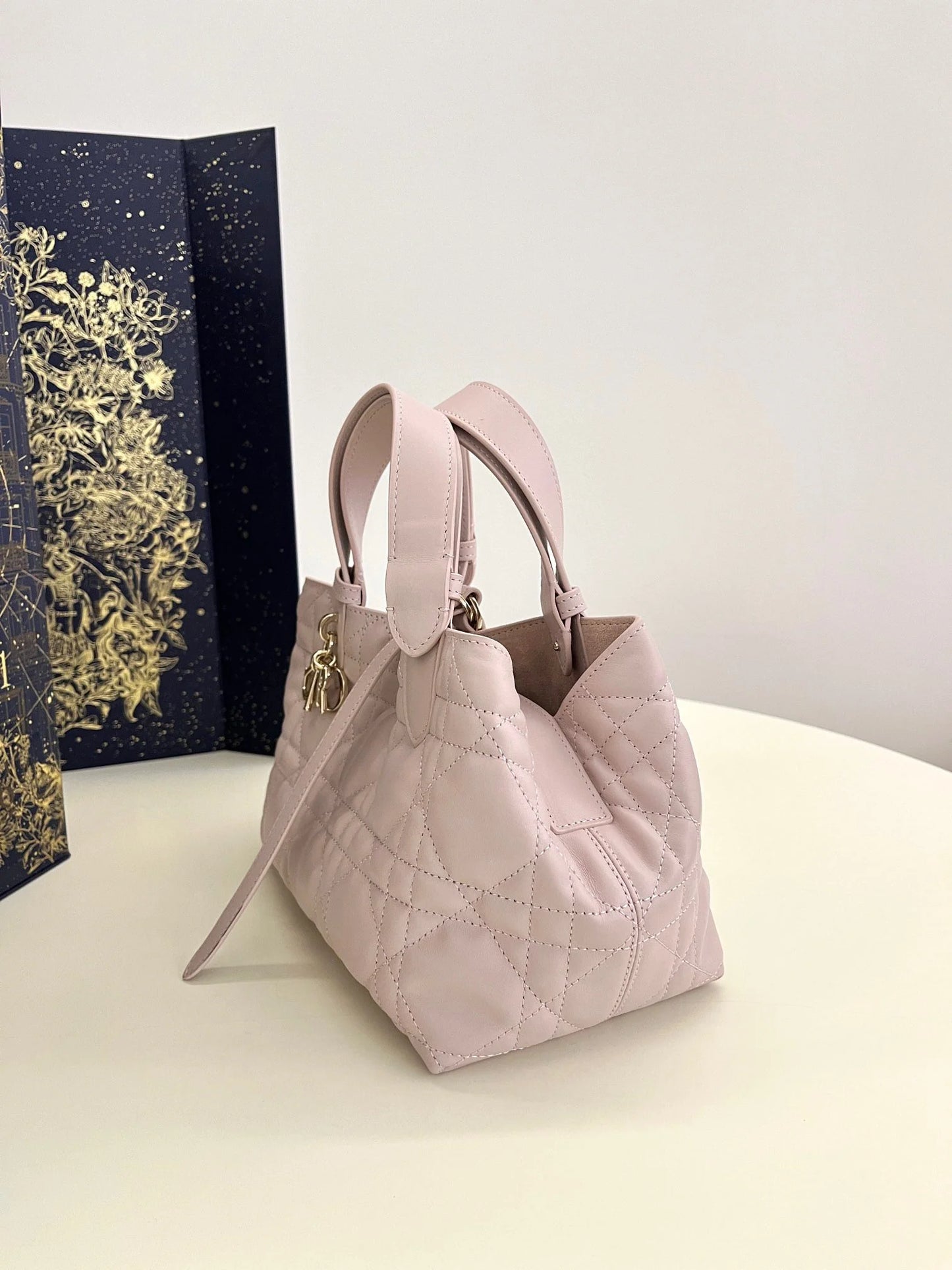 DIOR TOUJOURS BAG