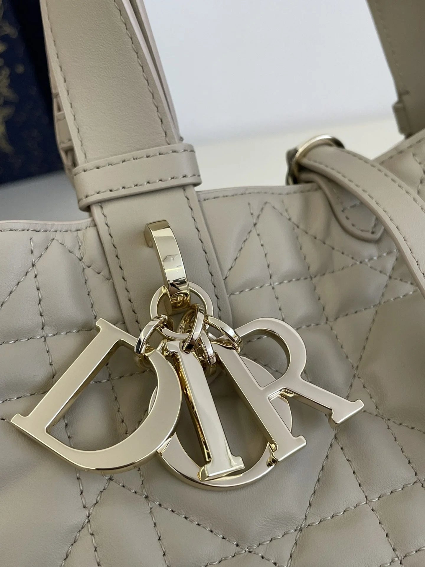 DIOR TOUJOURS BAG