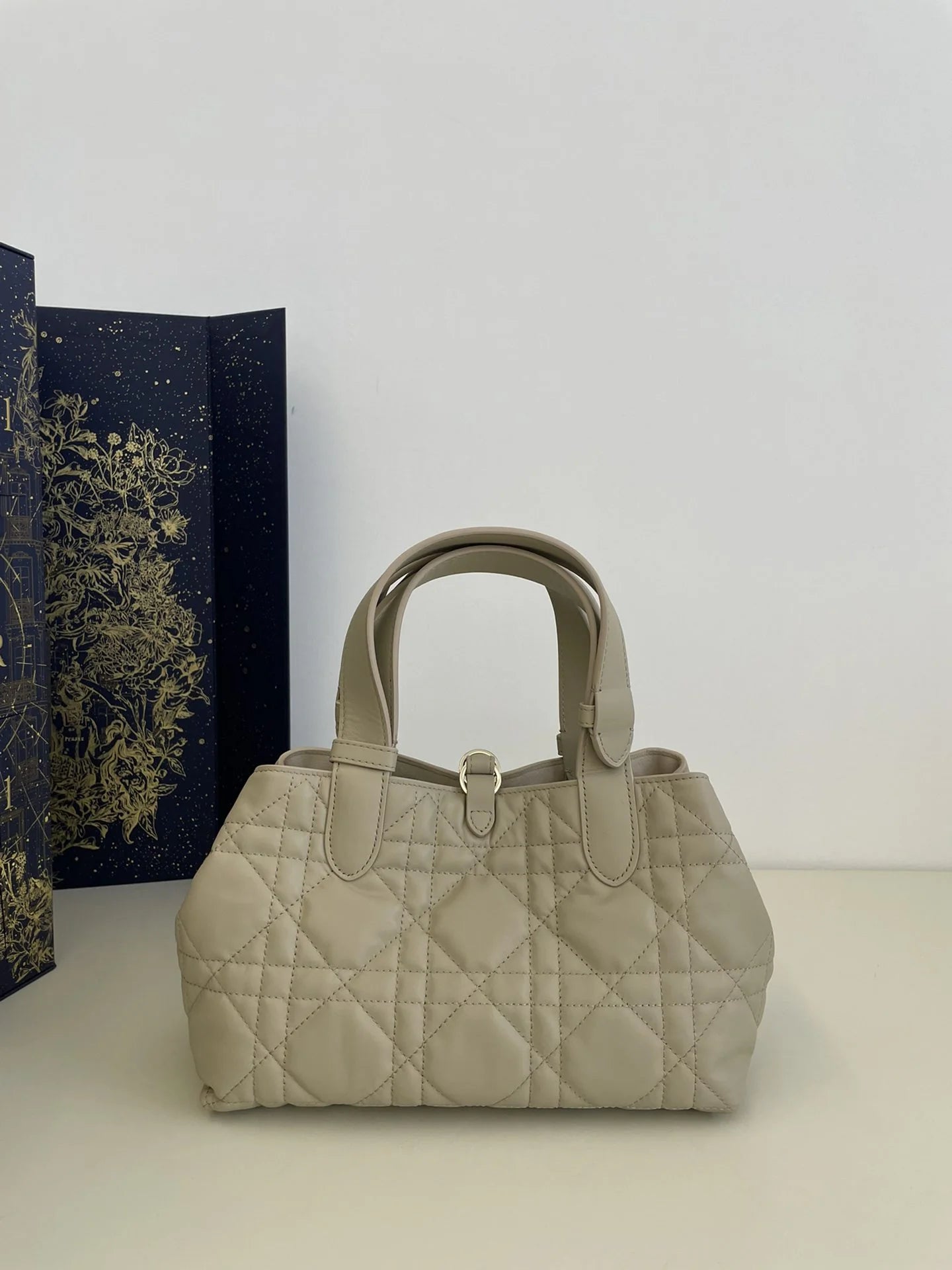 DIOR TOUJOURS BAG