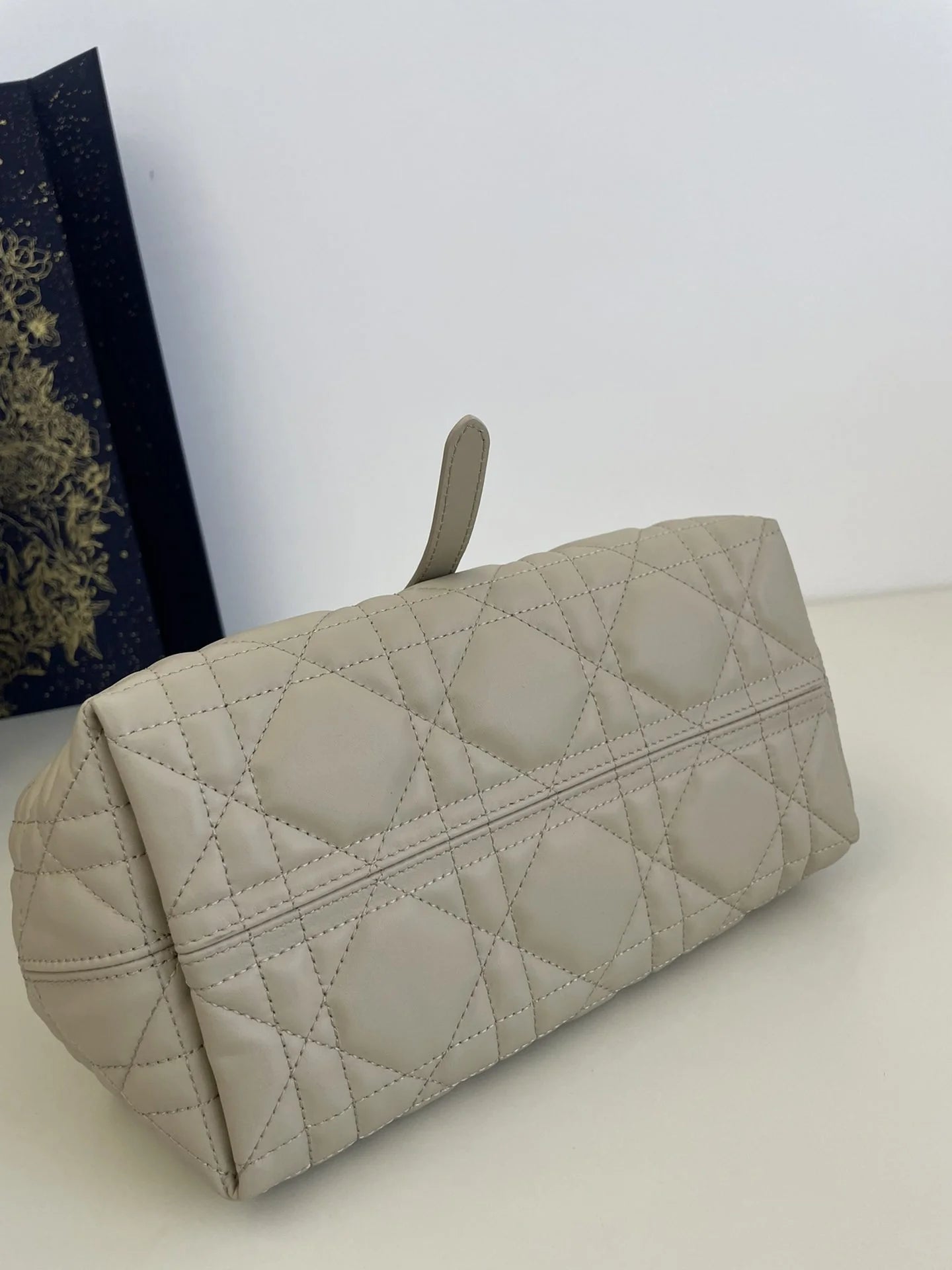 DIOR TOUJOURS BAG