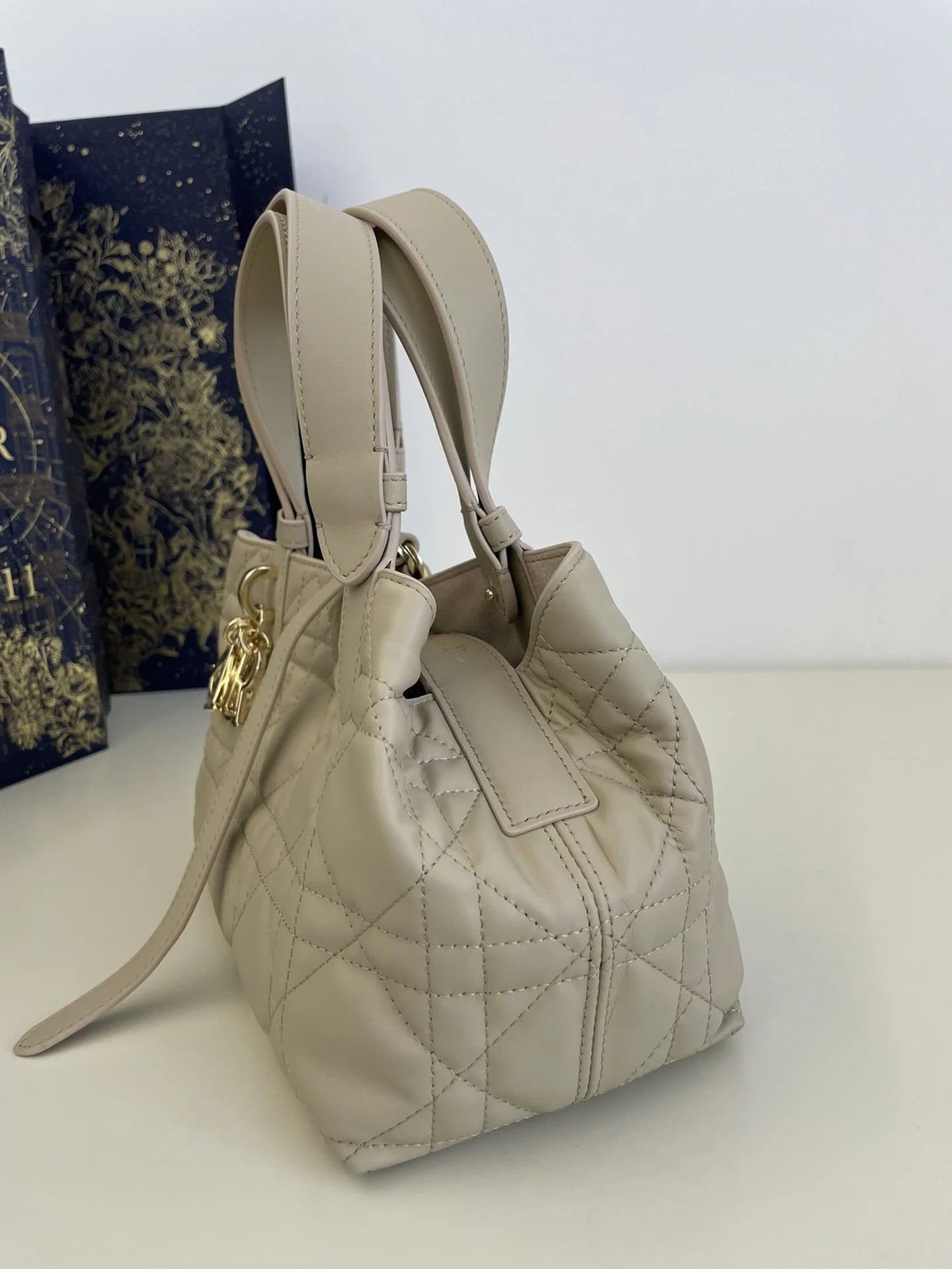 DIOR TOUJOURS BAG