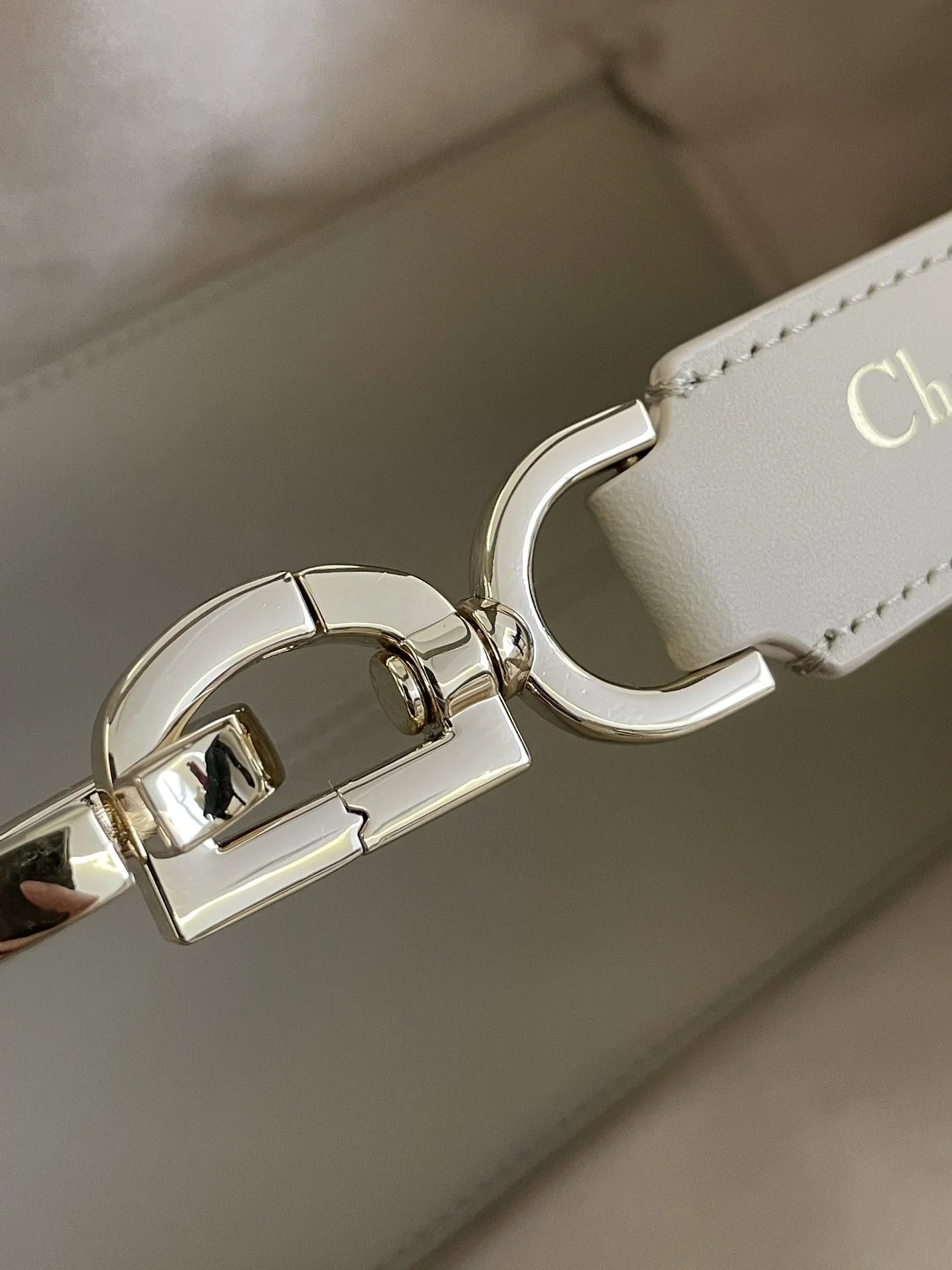 DIOR TOUJOURS BAG