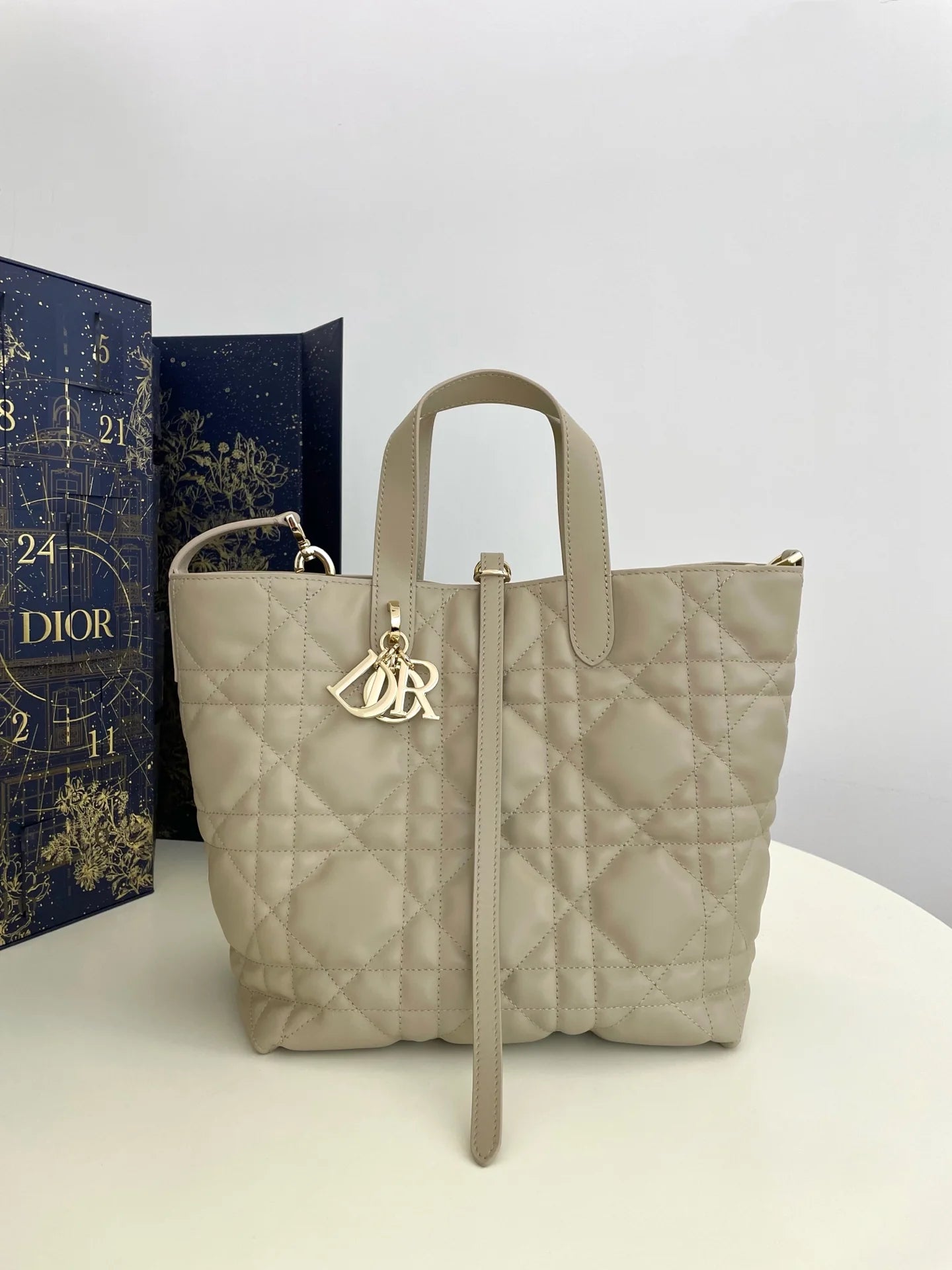 DIOR TOUJOURS BAG