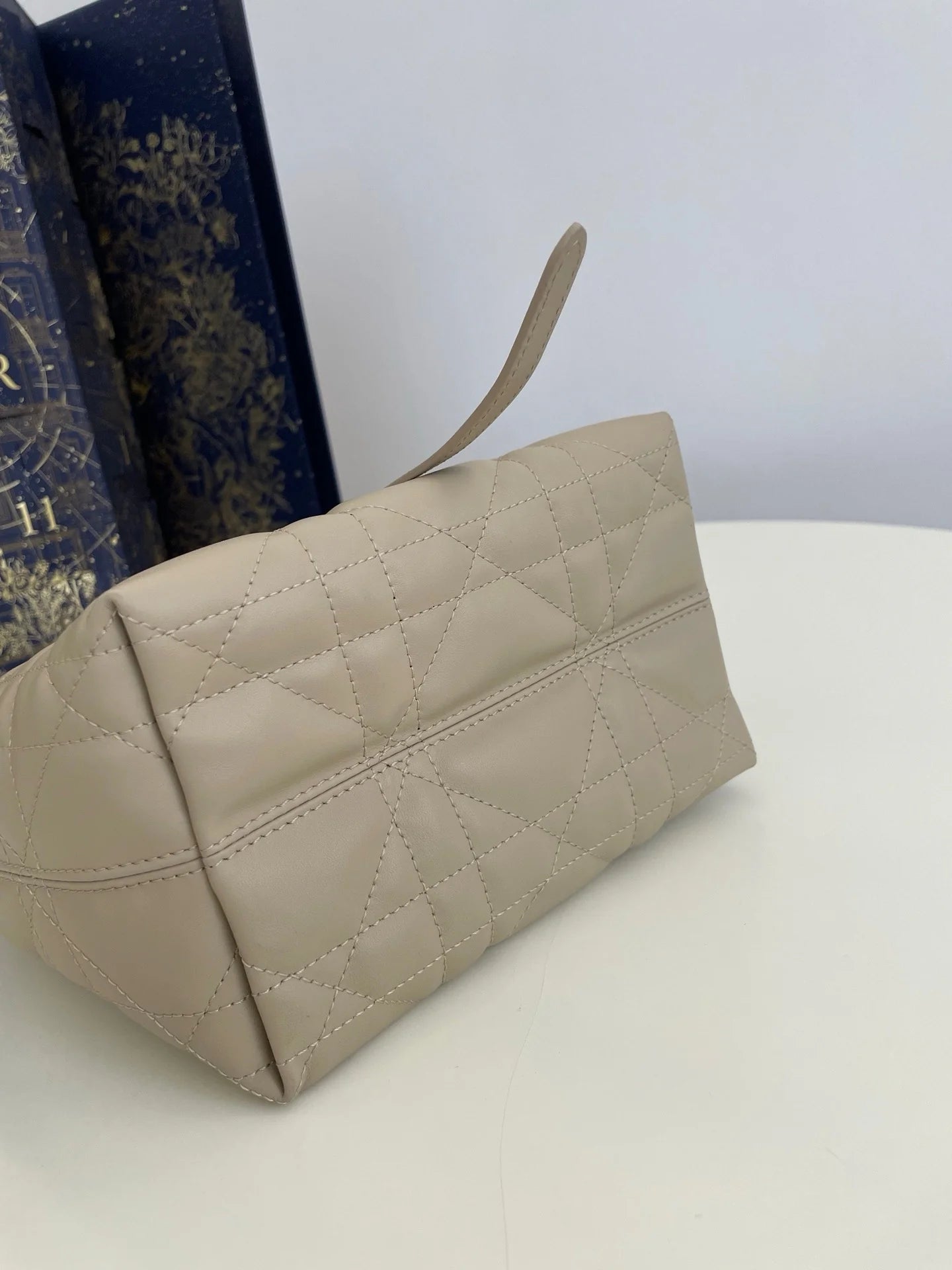 DIOR TOUJOURS BAG