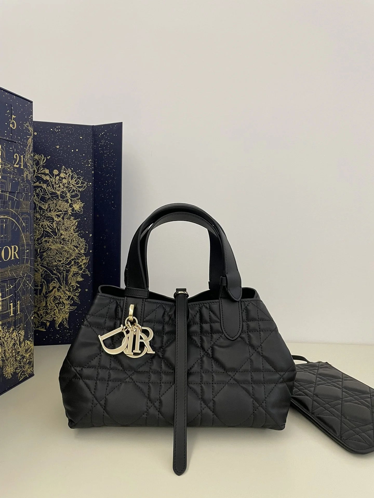 DIOR TOUJOURS BAG