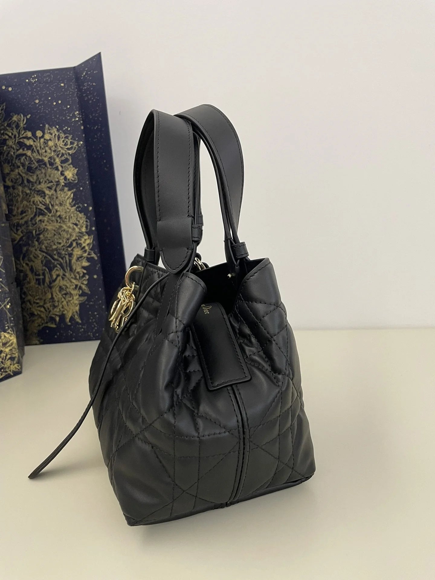 DIOR TOUJOURS BAG