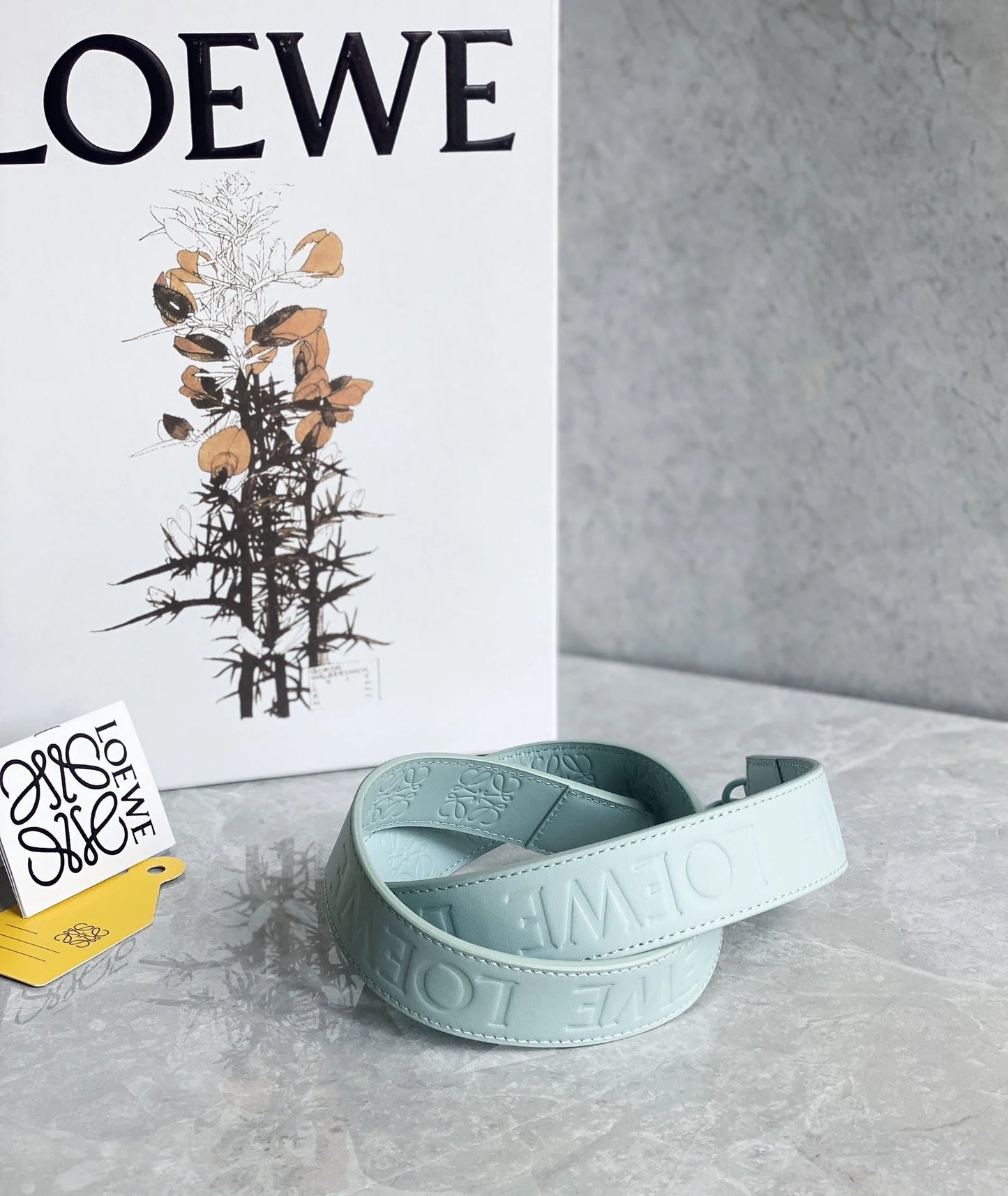 LOEWE BAG