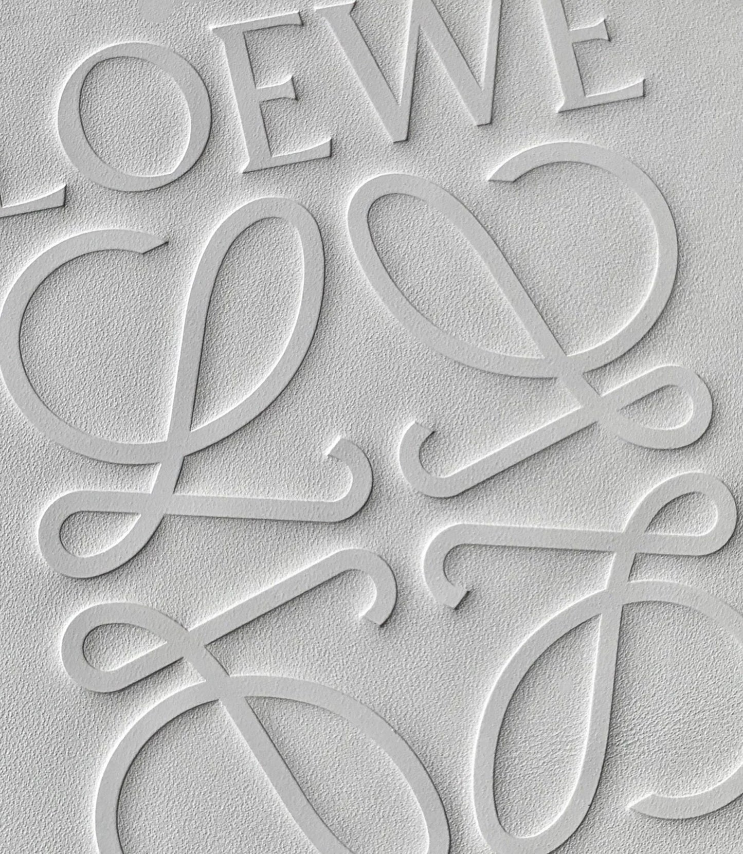 LOEWE BAG