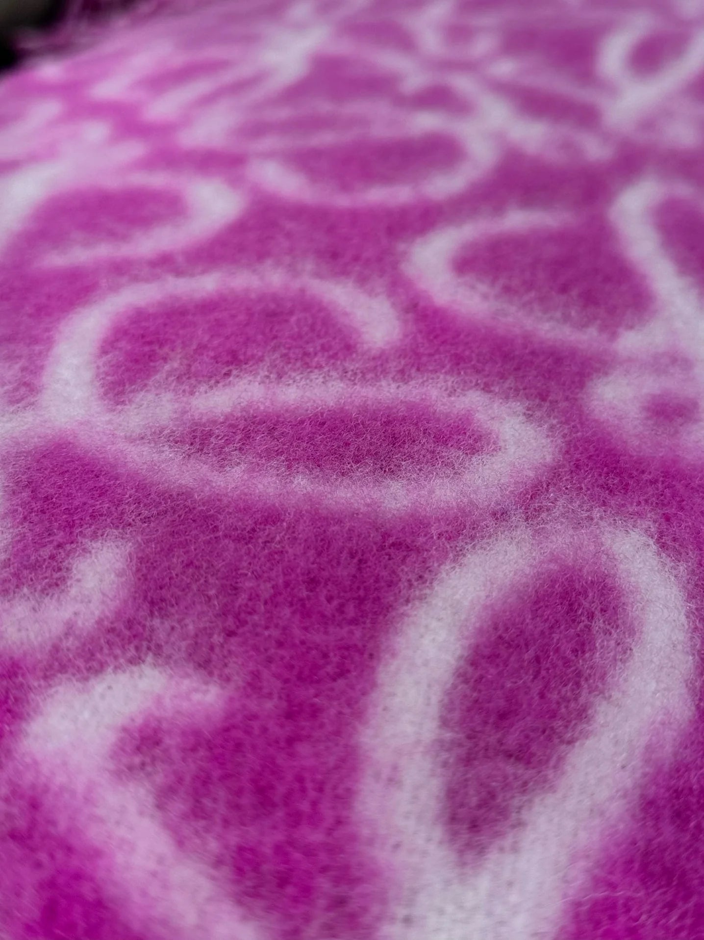 LOEWE SCARF